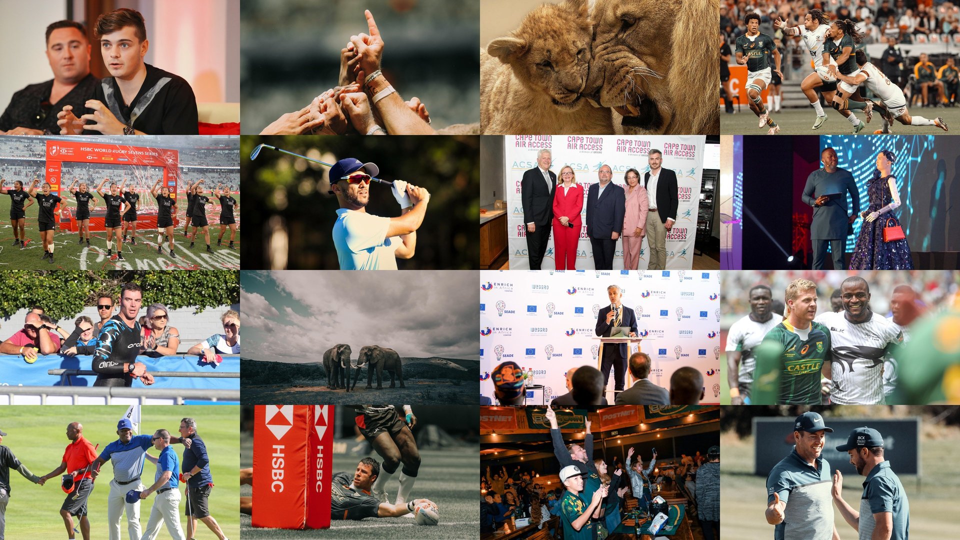 black blue and yellow textile