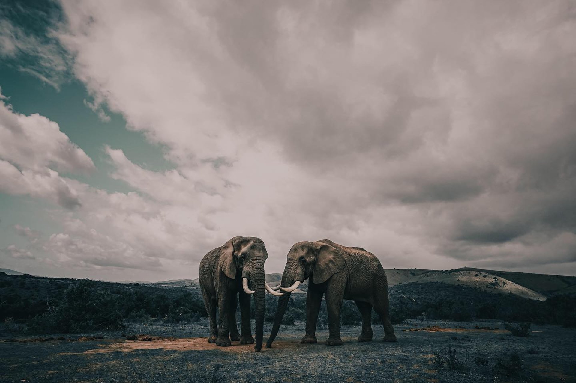 black blue and yellow textile