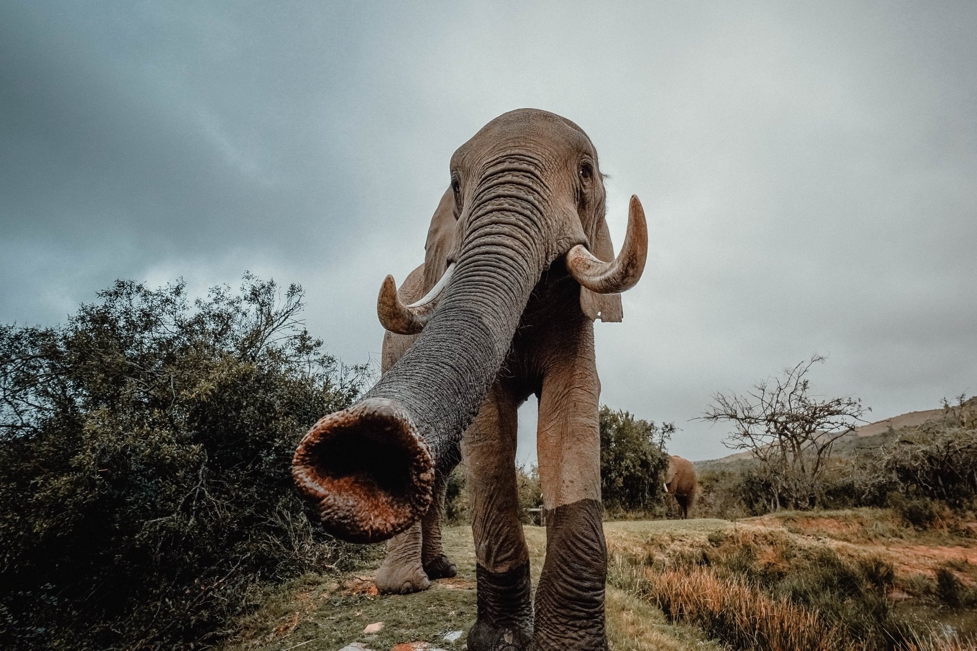 black blue and yellow textile