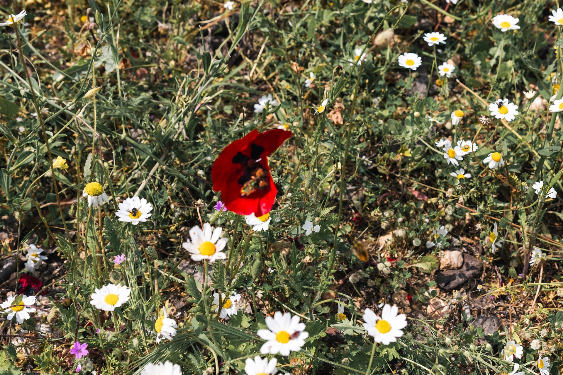 an abstract photo of a curved building with a blue sky in the background