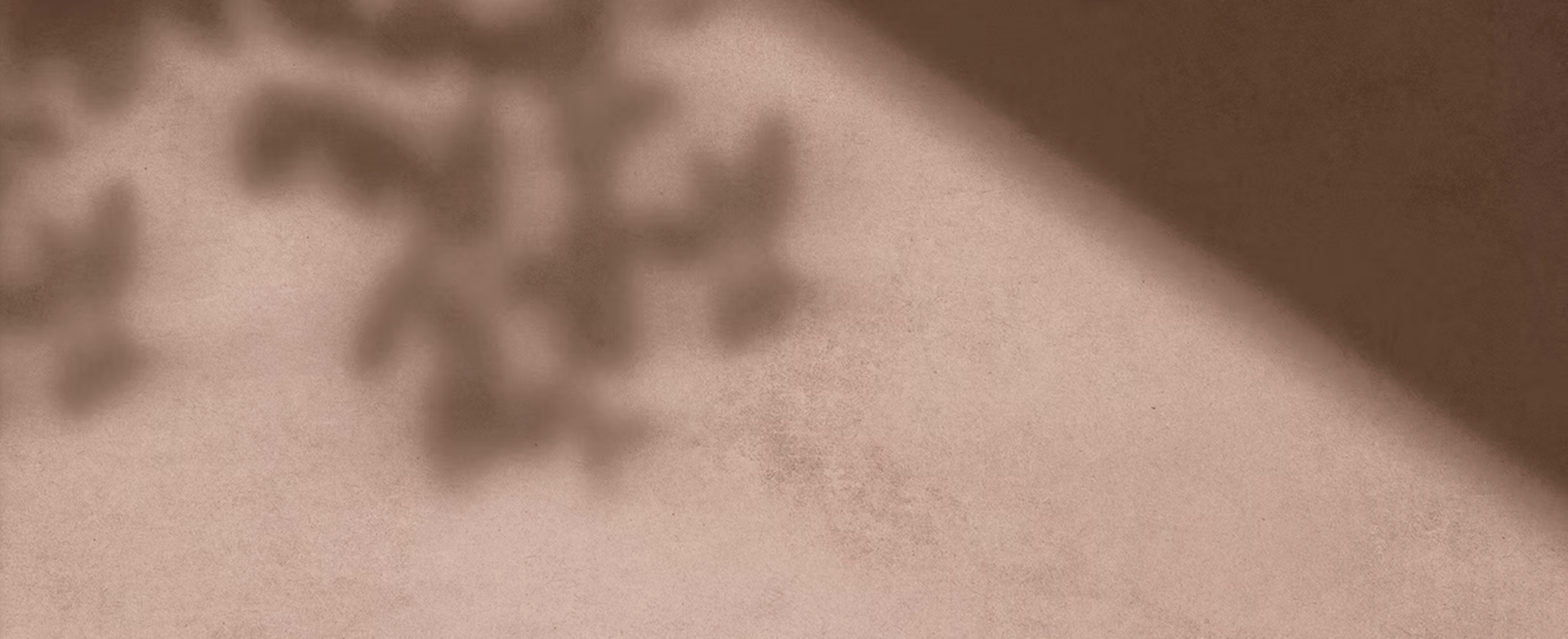 tan background with leaves shadow