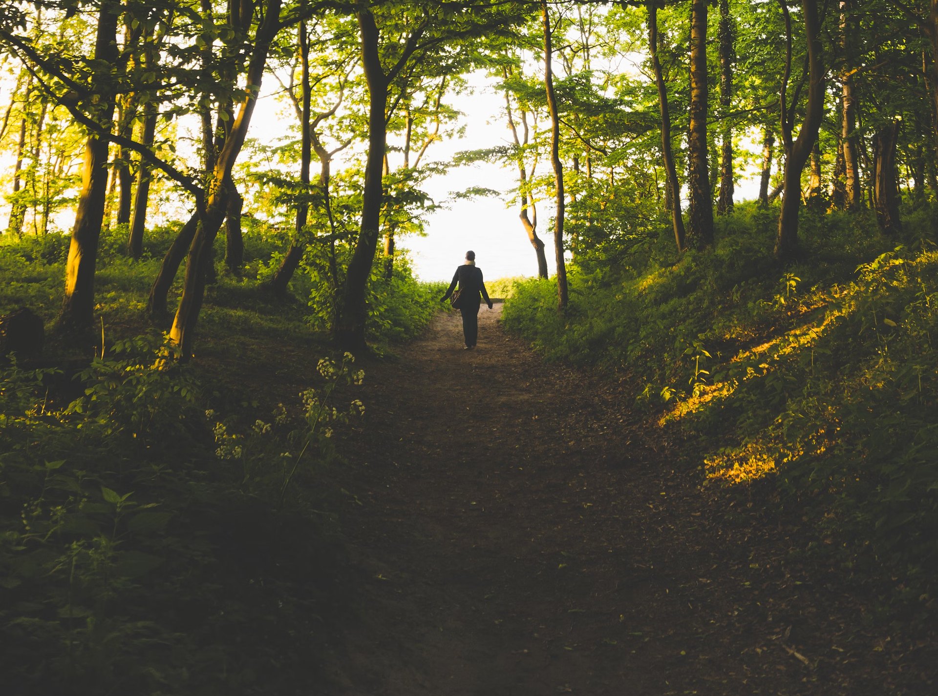 silhouette photography of person