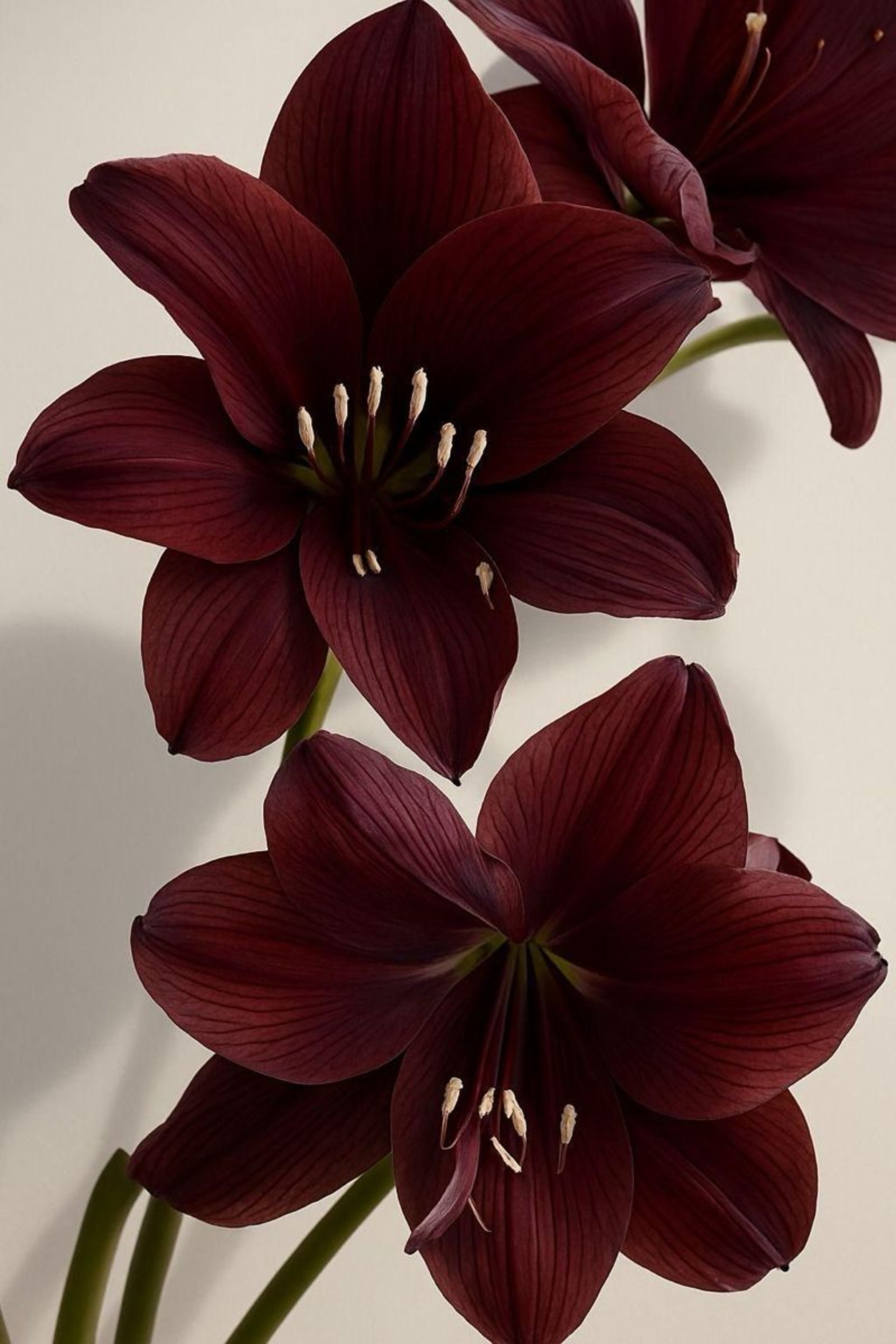 an abstract photo of a curved building with a blue sky in the background