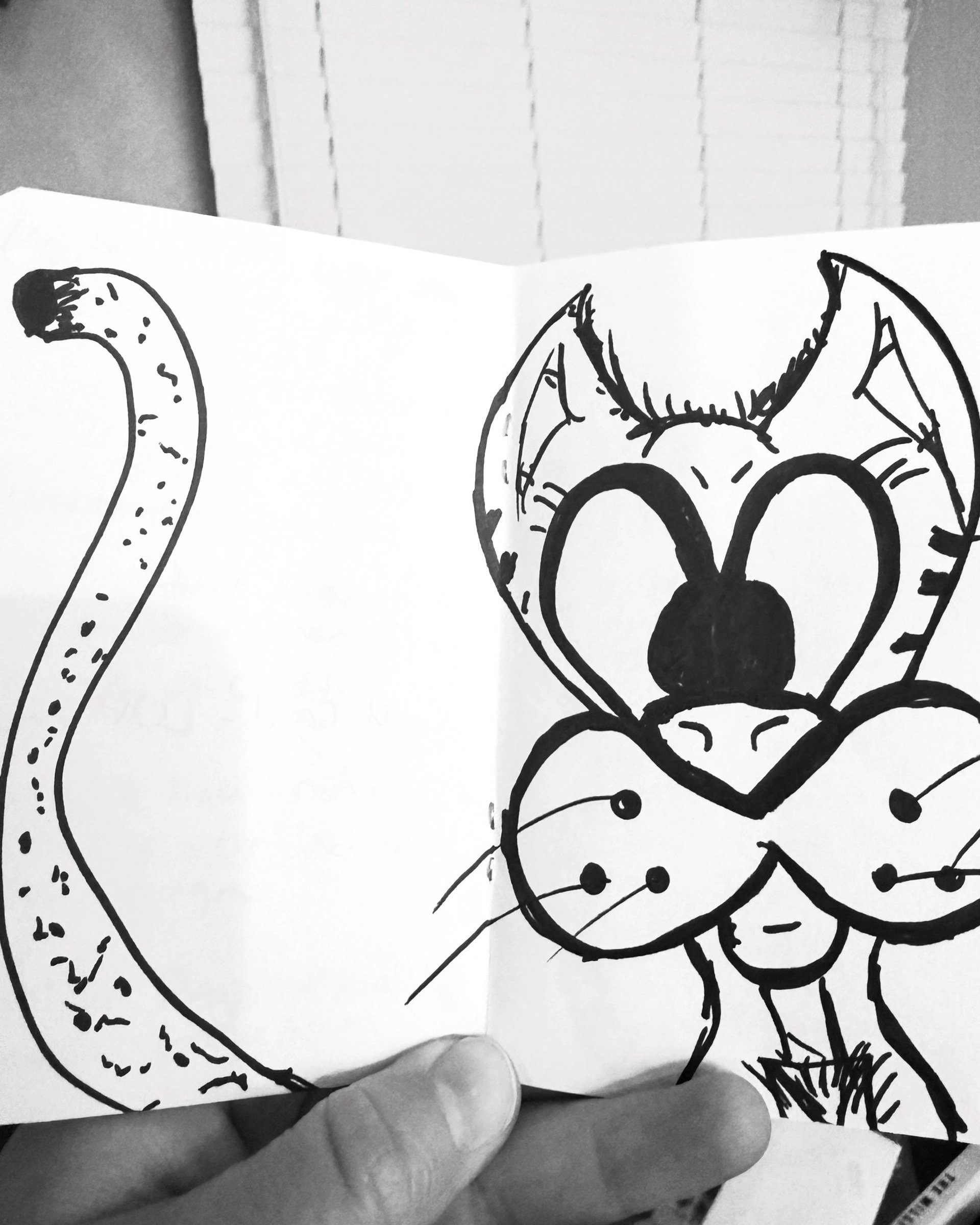 white clouds on black background