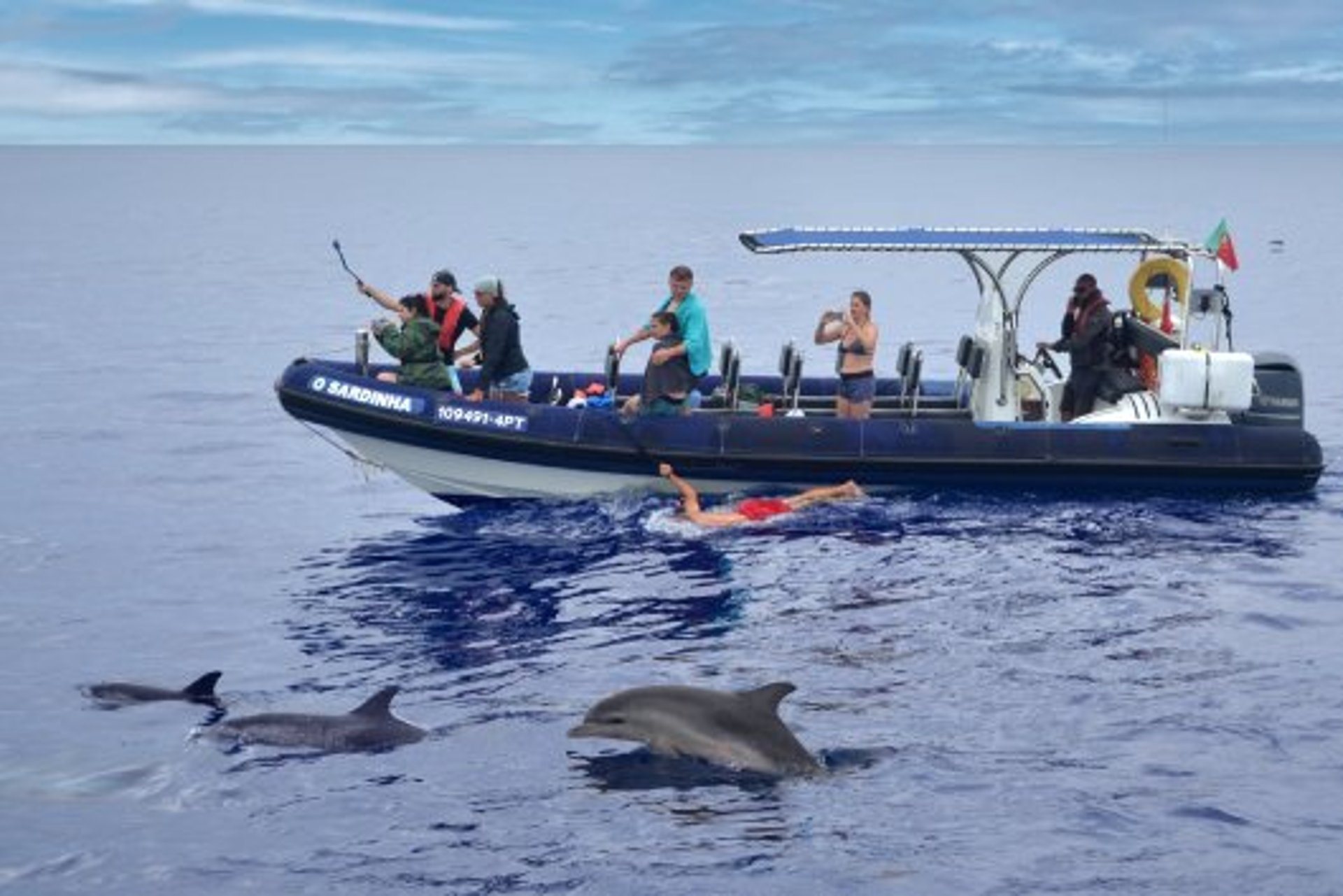 Swimming with dolphins in Funchal, Madeira on a boat tour.