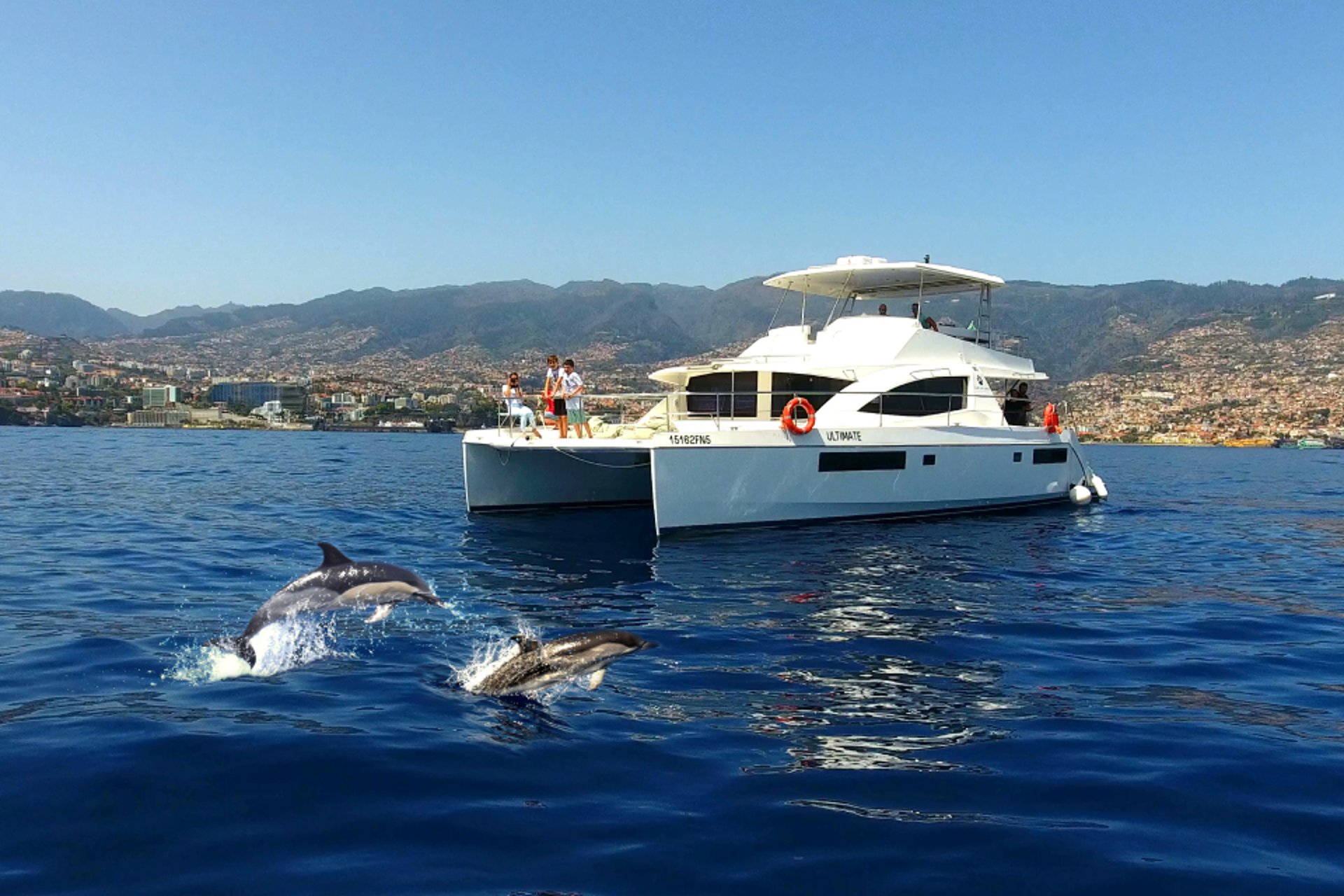 Two dolphins leaping in front of the VIP Dolphins "Ultimate" catamaran with the Madeira coastline in the background.