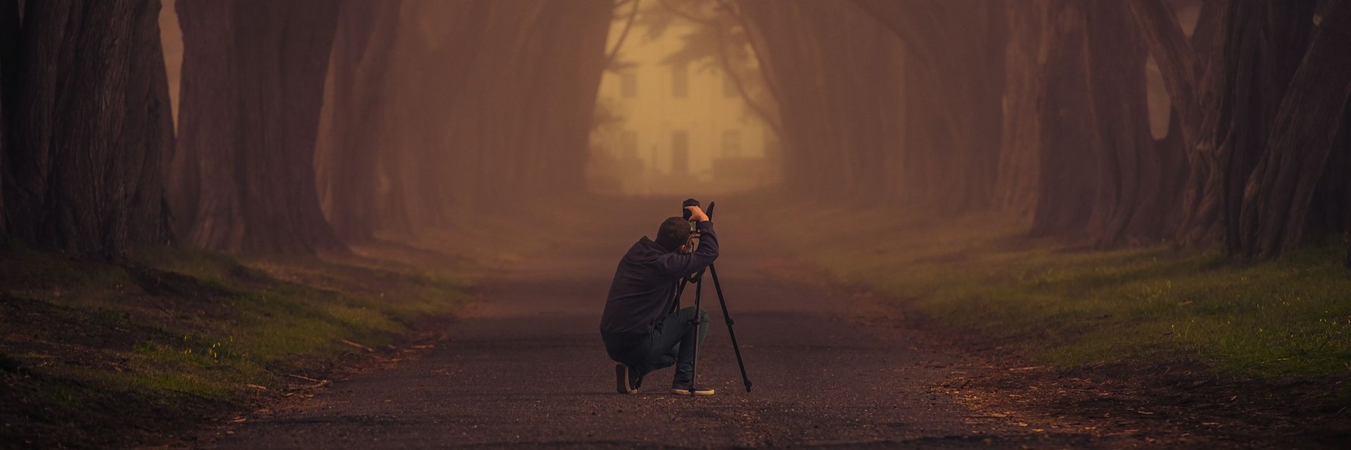 Photographer on forest path symbolising the journey through photography courses for beginners and advanced.