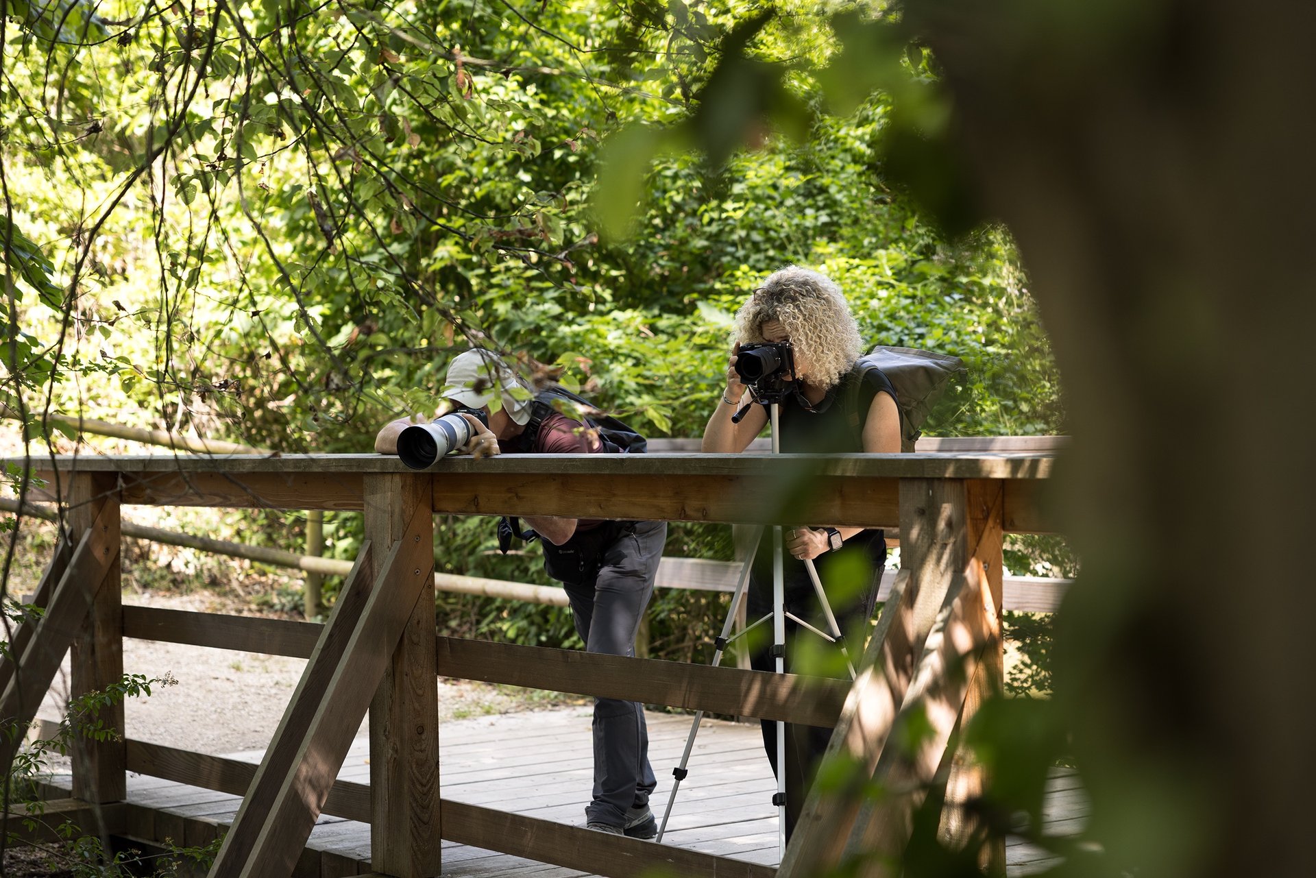 Teilnehmende üben im Allrounder Fotokurs der Fotografie Akademie Basel an einer Holzbrücke.