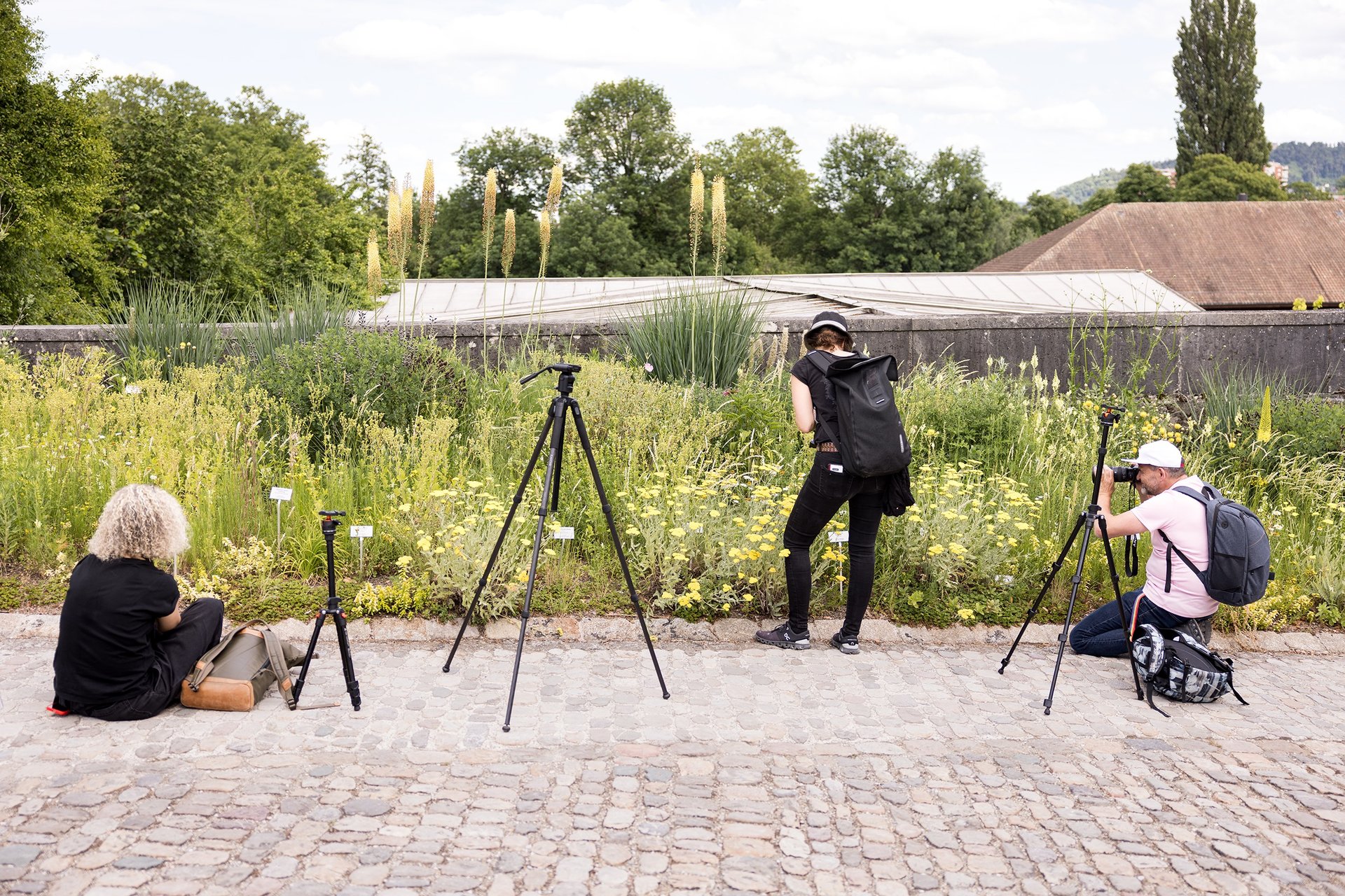 Teilnehmerin fotografiert im Allrounder Basiskurs der Fotografie Akademie Basel zwischen Wiesen und Natur.