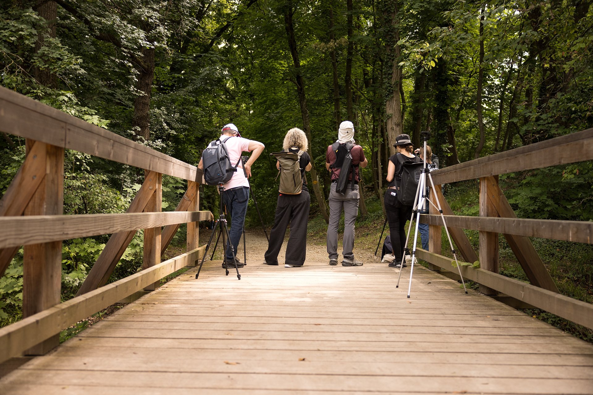 Gruppe der Fotografie Akademie Basel unterwegs im Allrounder Basiskurs auf einer Holzbrücke.