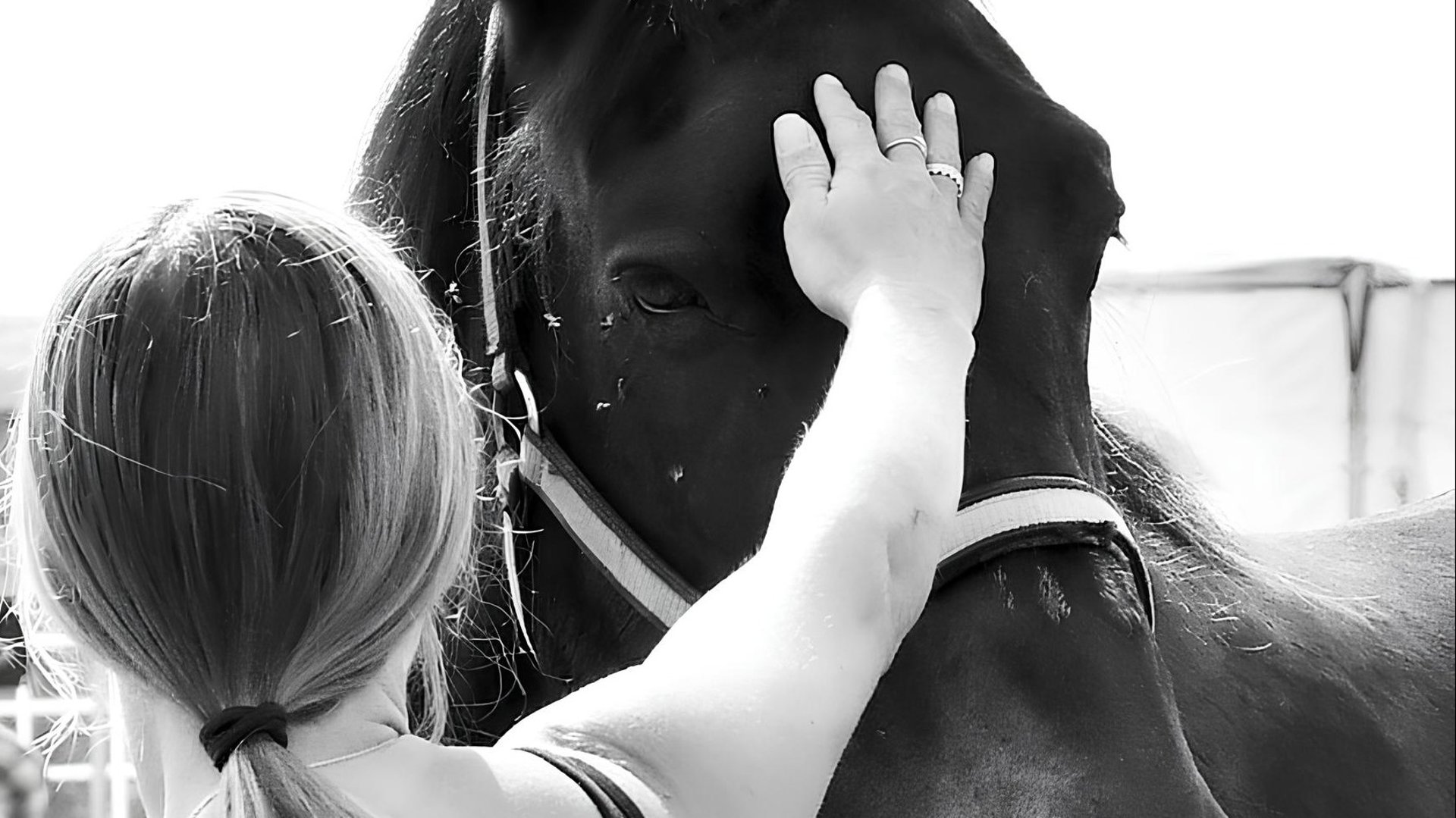black and white bed linen
