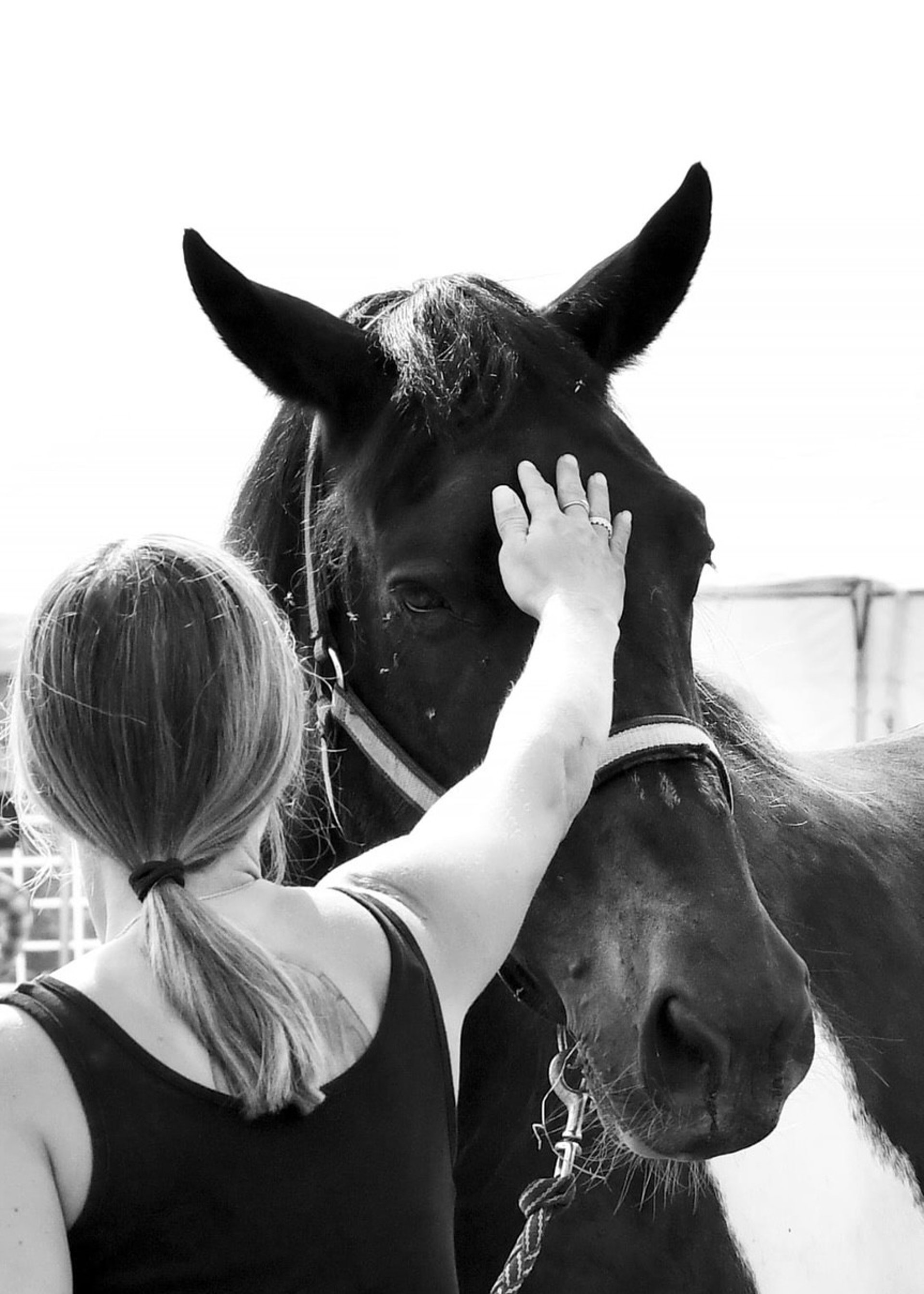 black and white bed linen