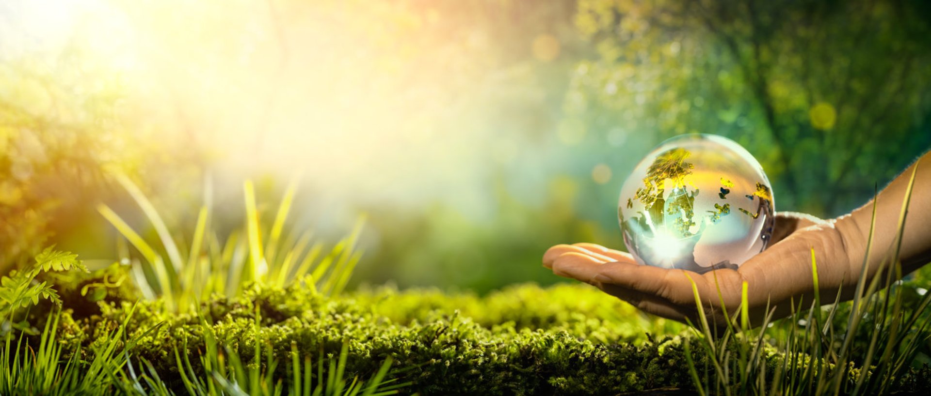 woman wearing yellow long-sleeved dress under white clouds and blue sky during daytime