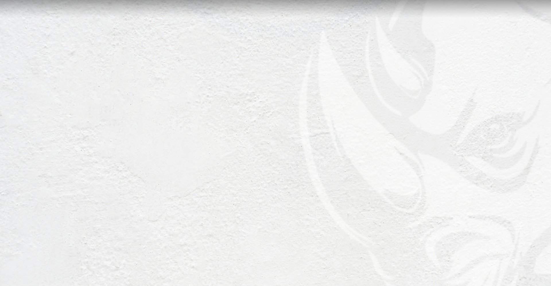 a black and white cat laying on top of a white wall