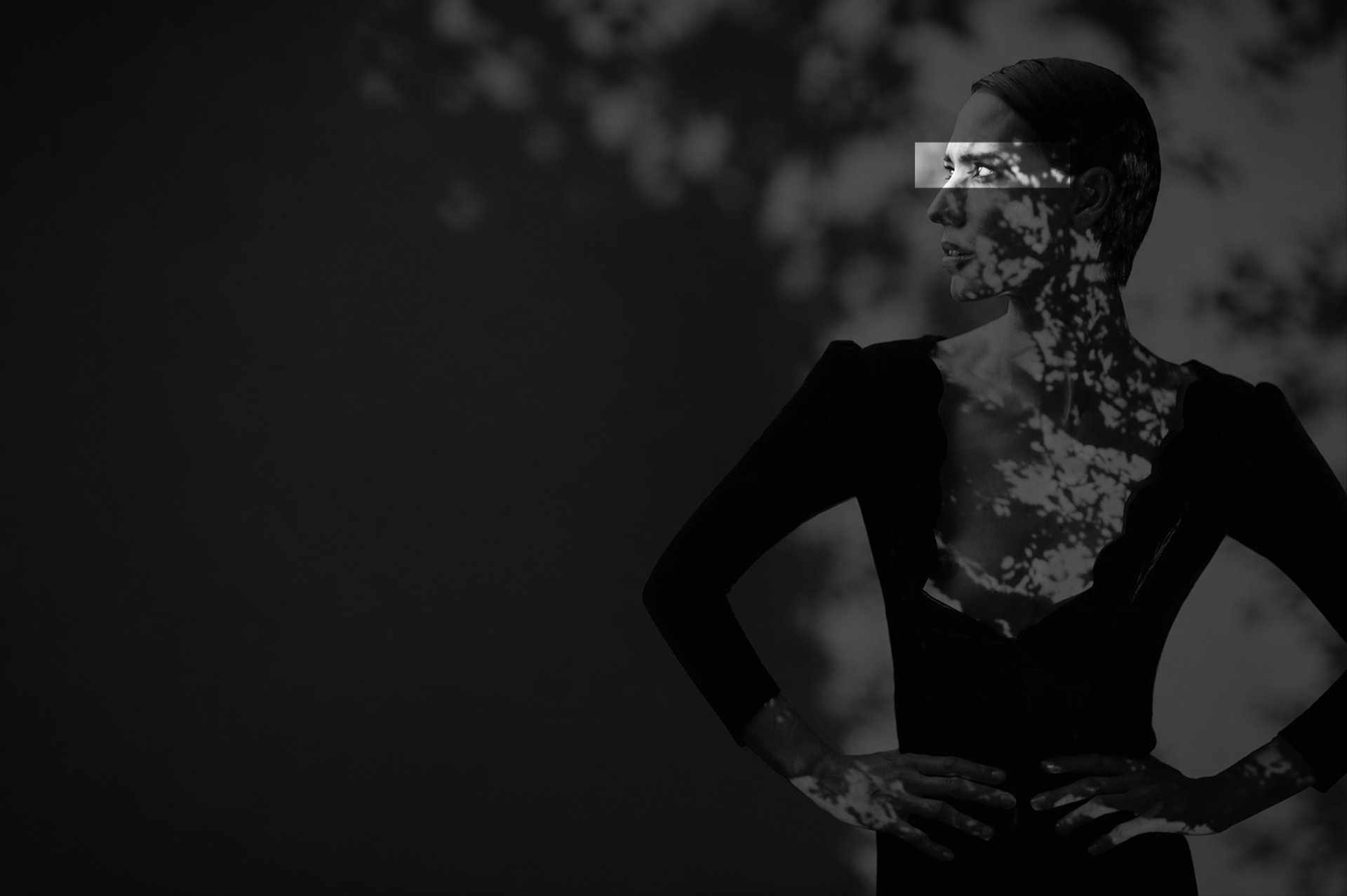 Elizabeth Lotz (Liz Lotz) art director paper flower installation and high fashion photography in black and white of stylized 
