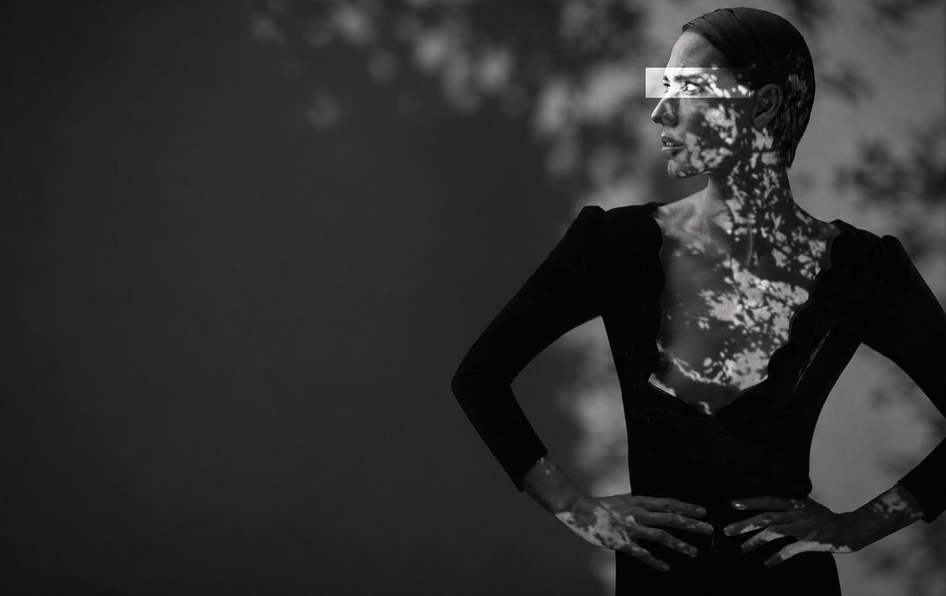 Elizabeth Lotz (Liz Lotz) art director paper flower installation and high fashion photography in black and white of stylized 
