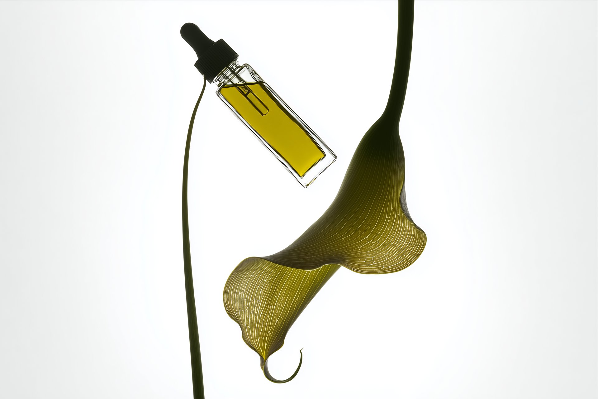 an abstract photo of a curved building with a blue sky in the background