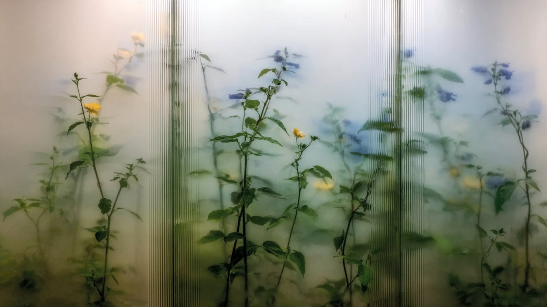 an abstract photo of a curved building with a blue sky in the background