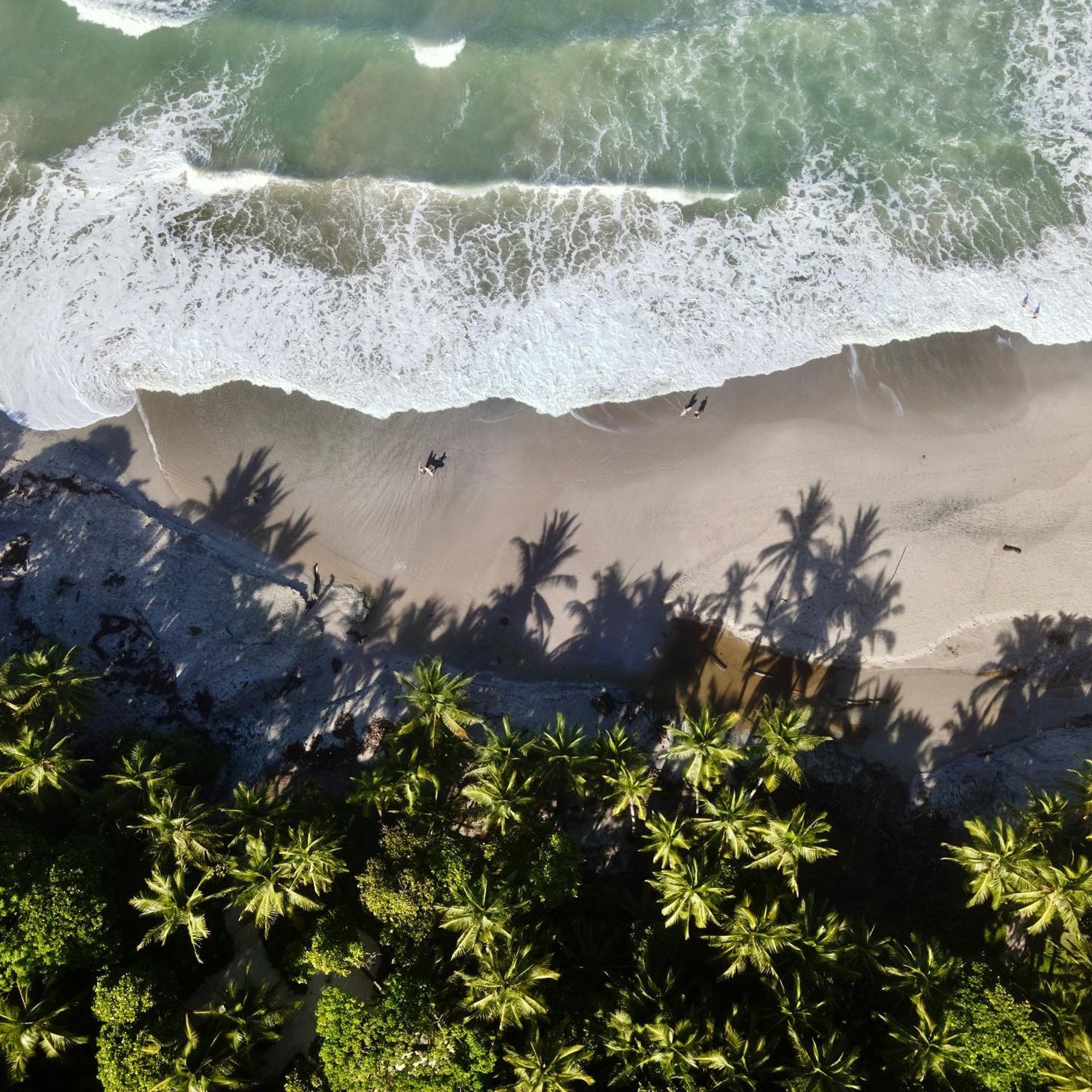 an aerial view of a beach and ocean
