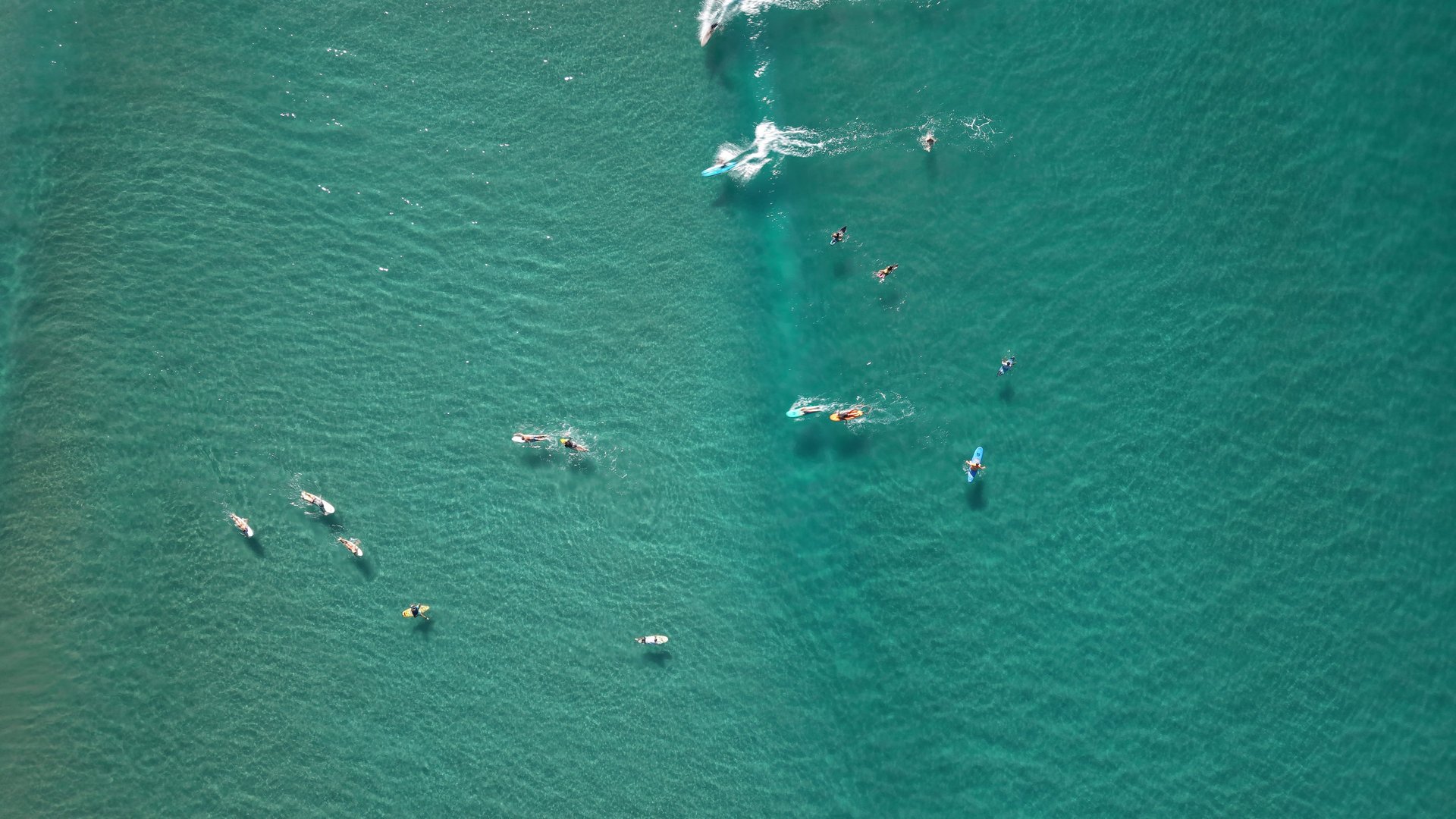 grayscale man surfing