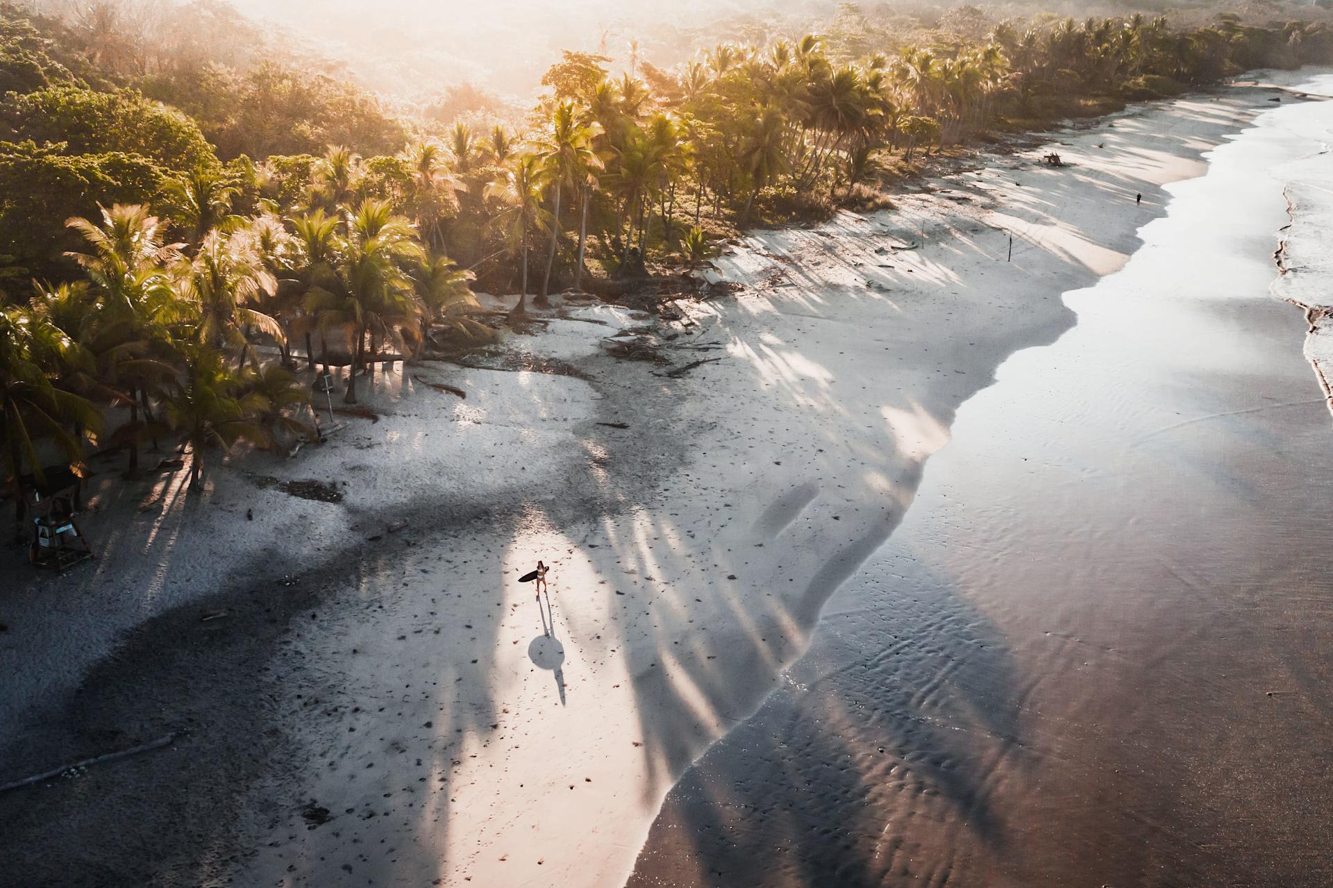 an aerial view of a beach and ocean
