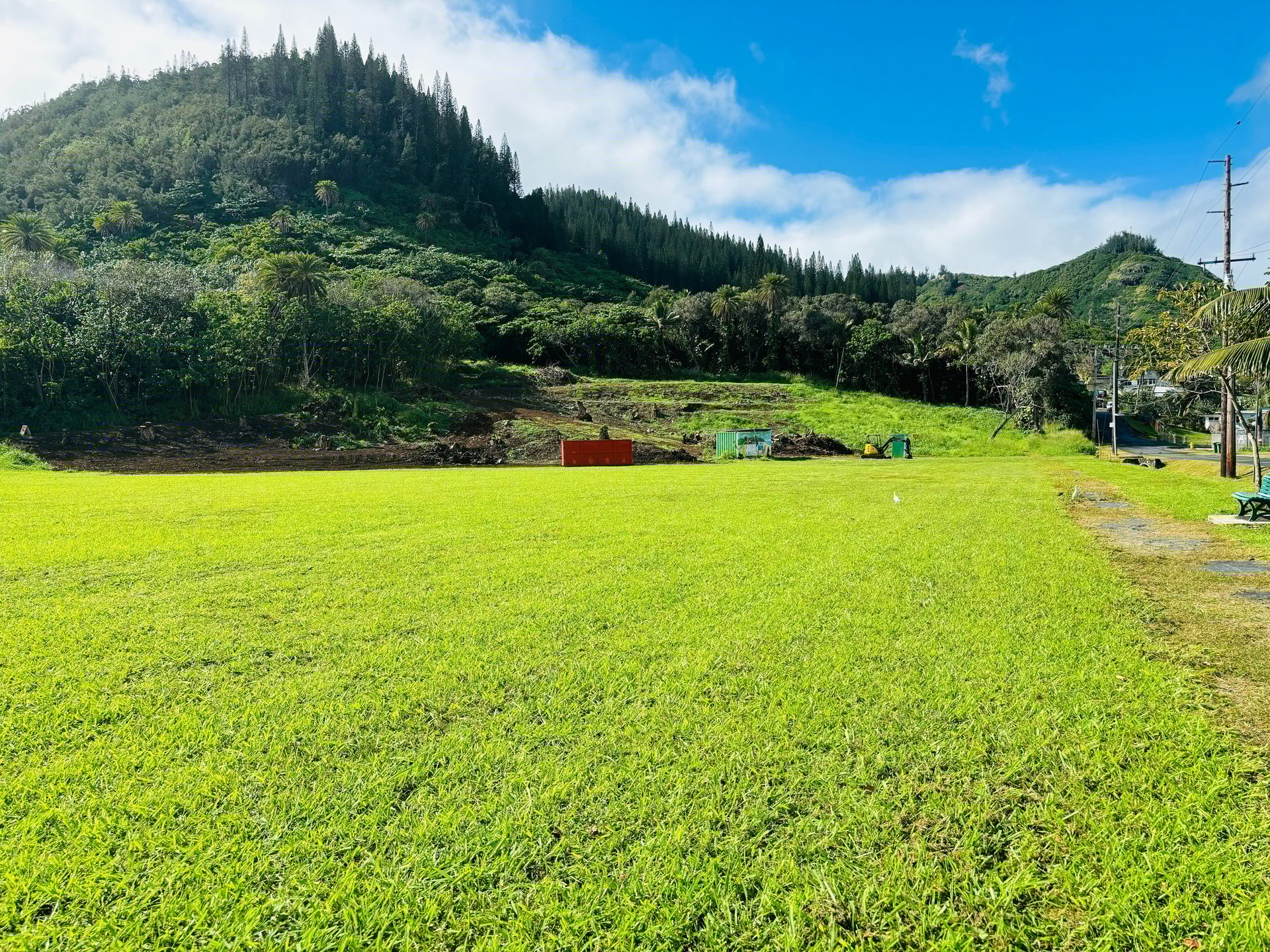 silhouette of coconut palm trees during sunset