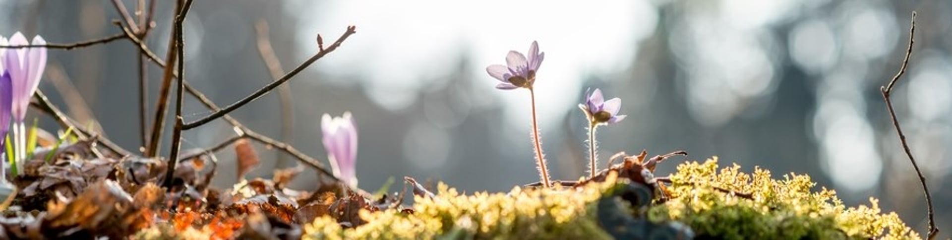 black and brown leather padded tub sofa