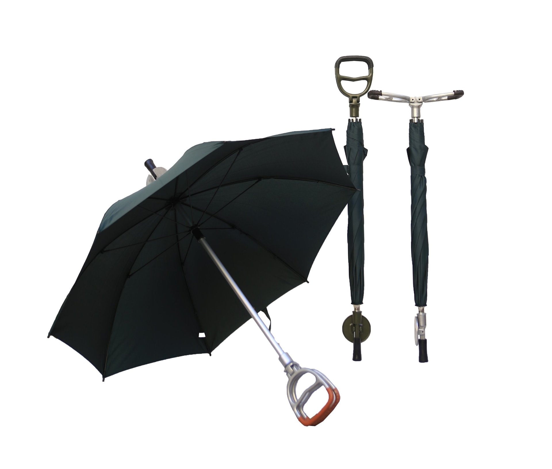 woman holding dried flower