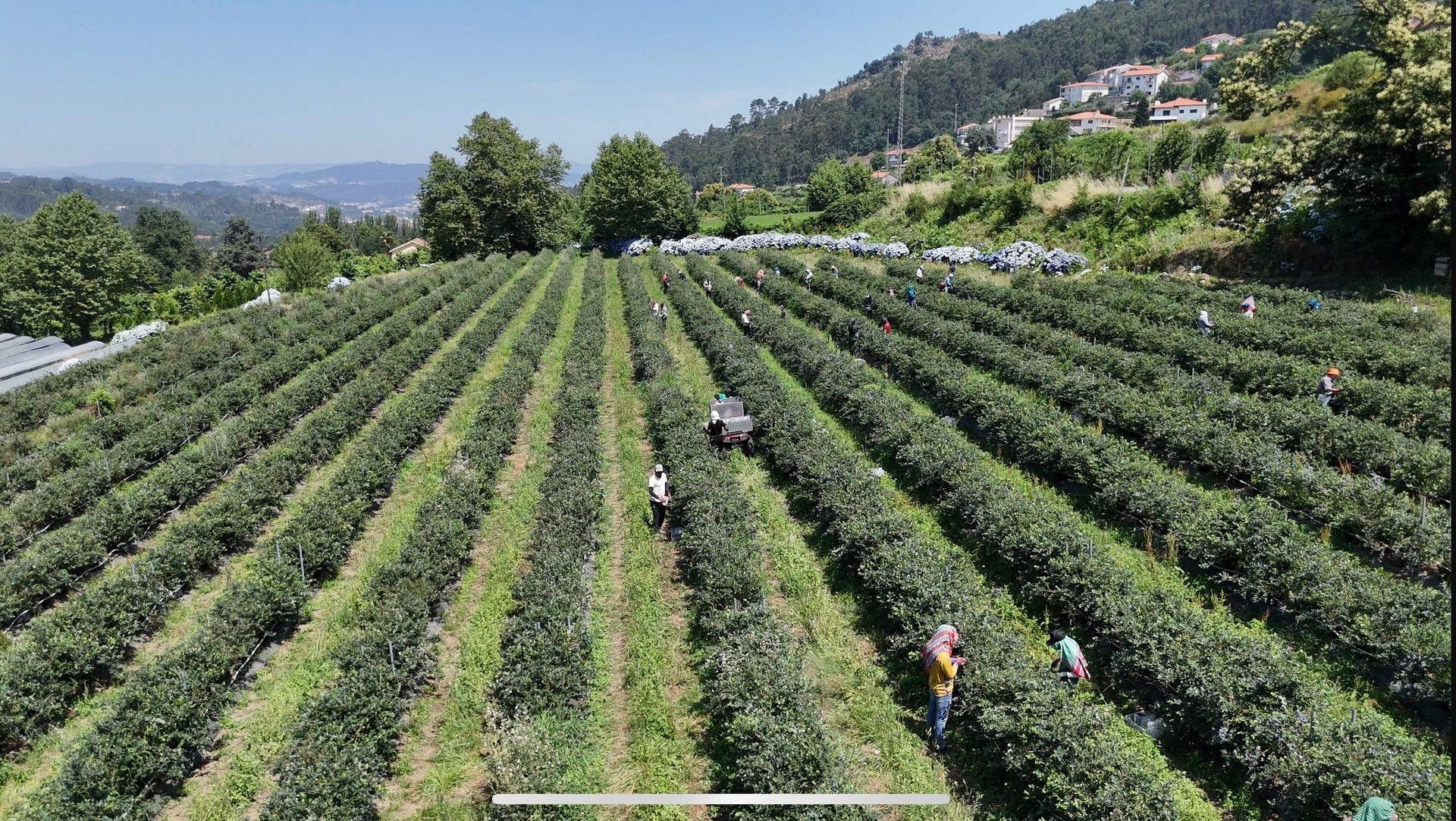 an abstract photo of a curved building with a blue sky in the background
