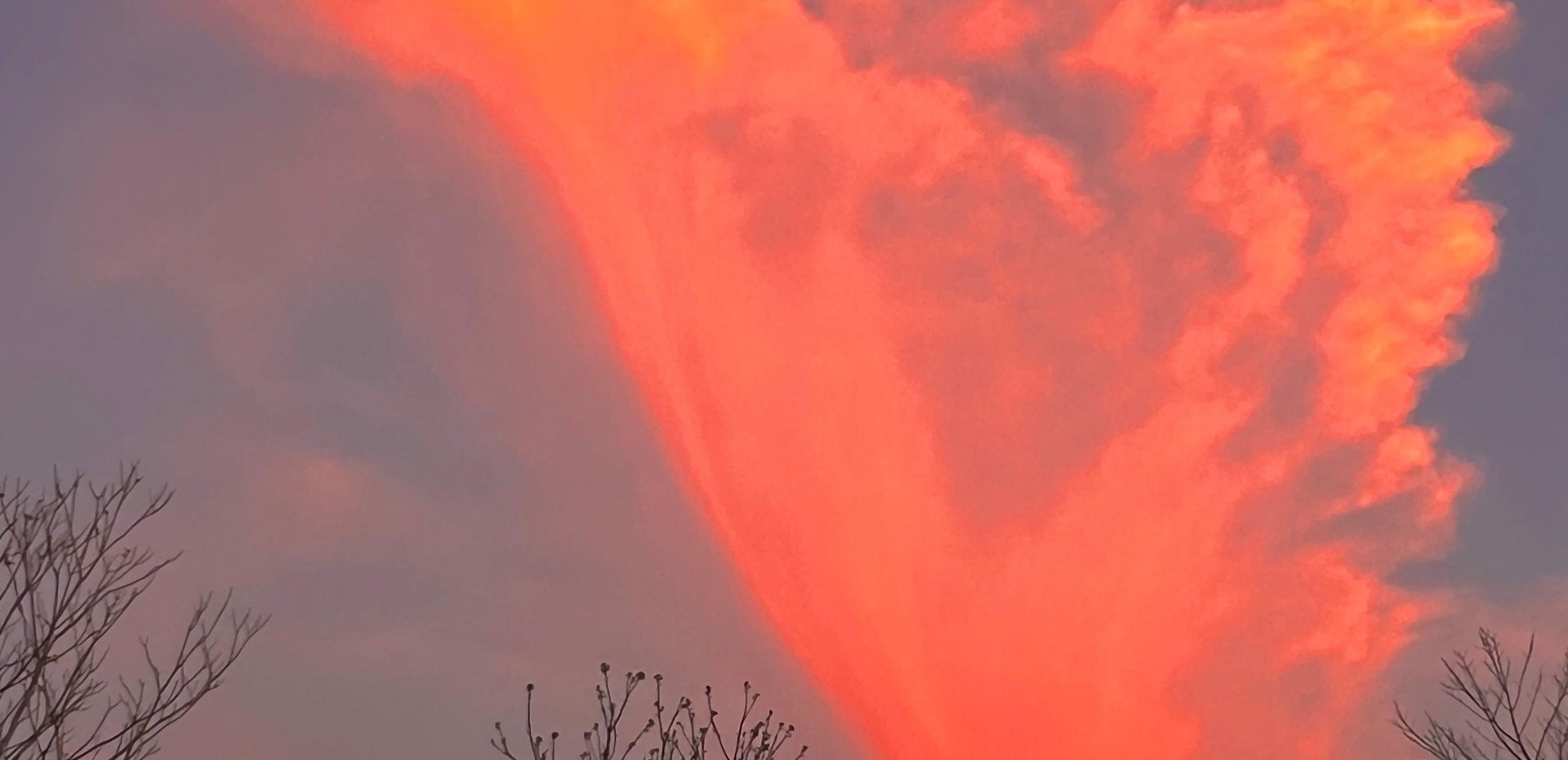 an abstract photo of a curved building with a blue sky in the background