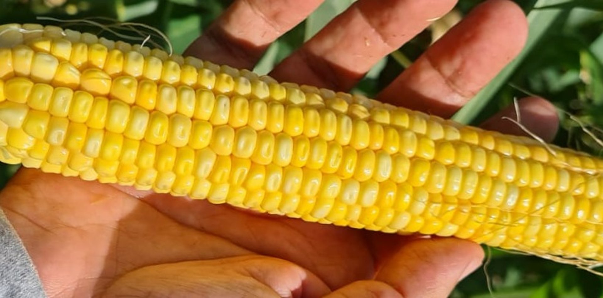 an abstract photo of a curved building with a blue sky in the background