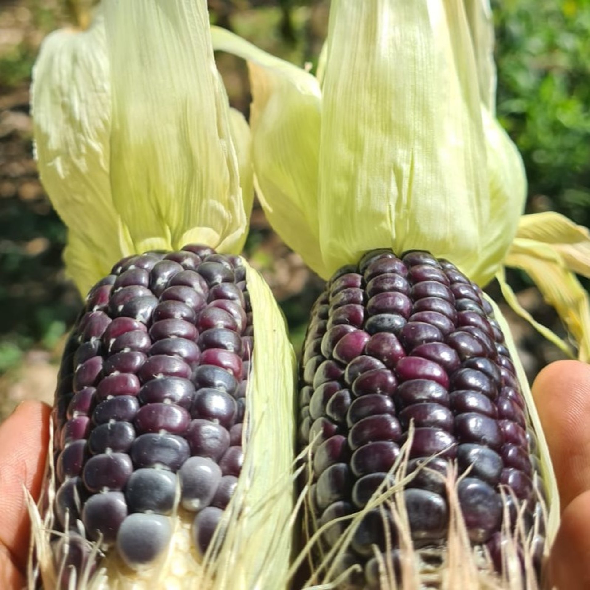 an abstract photo of a curved building with a blue sky in the background