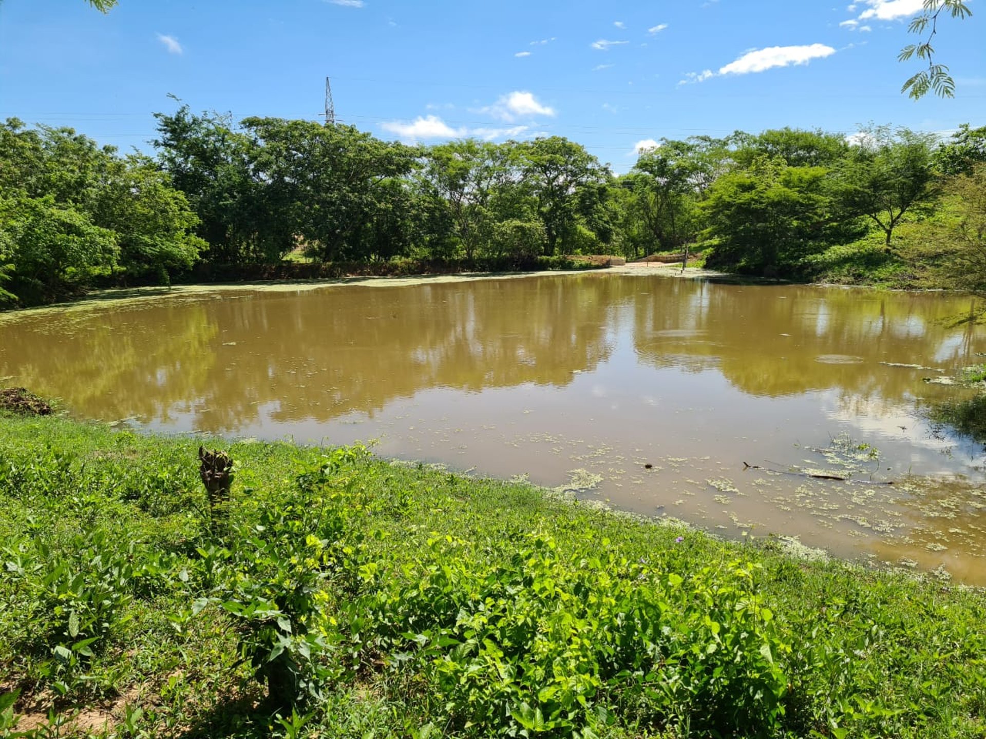 an abstract photo of a curved building with a blue sky in the background