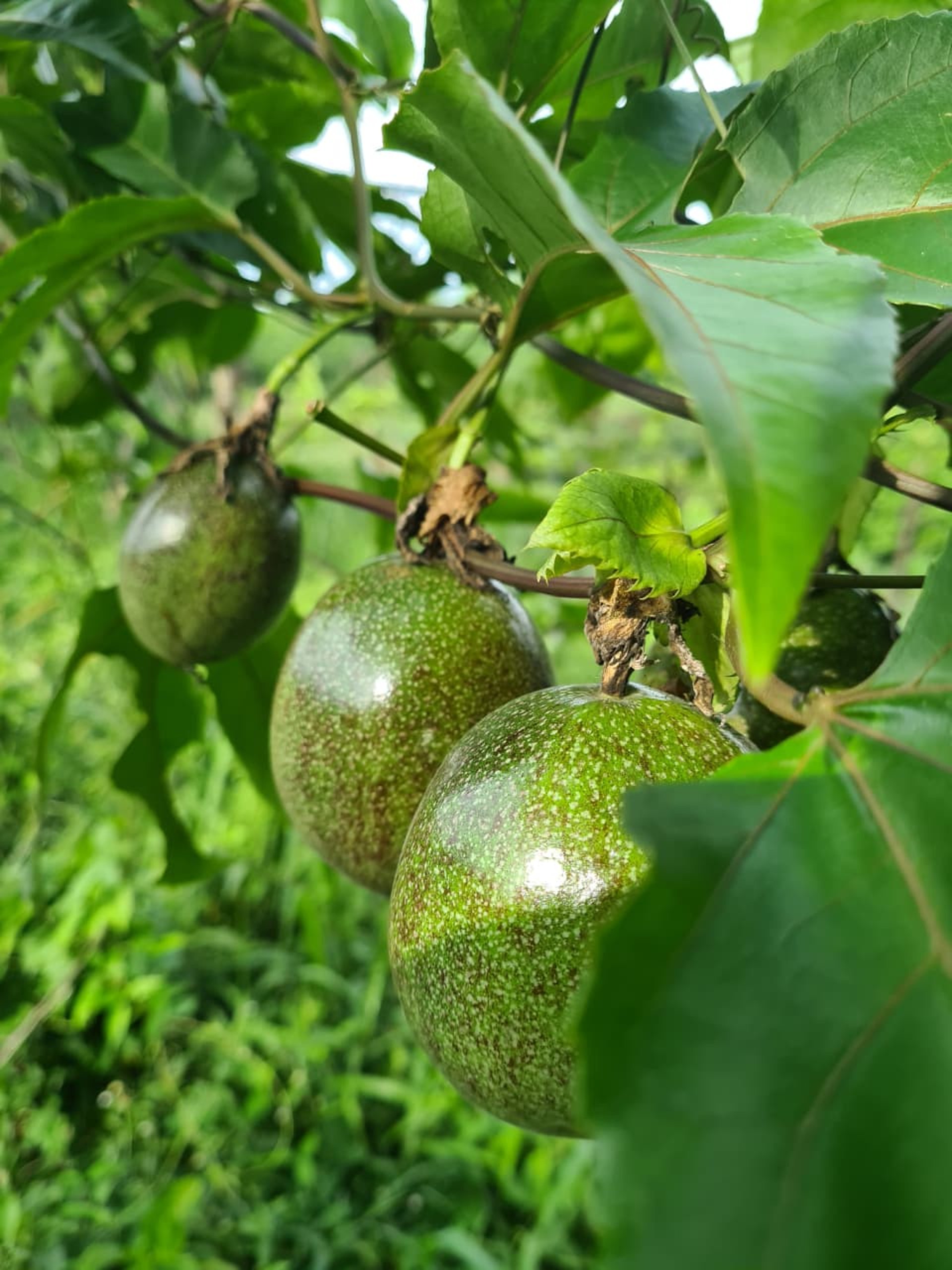 an abstract photo of a curved building with a blue sky in the background