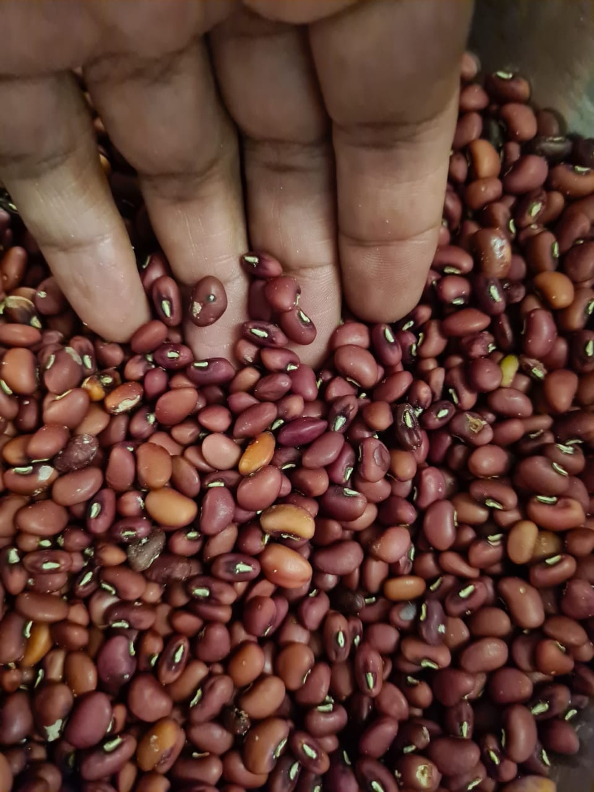 an abstract photo of a curved building with a blue sky in the background