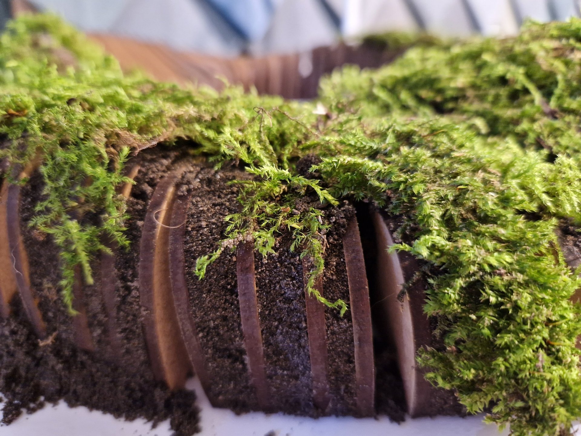 mountain range under blue sky