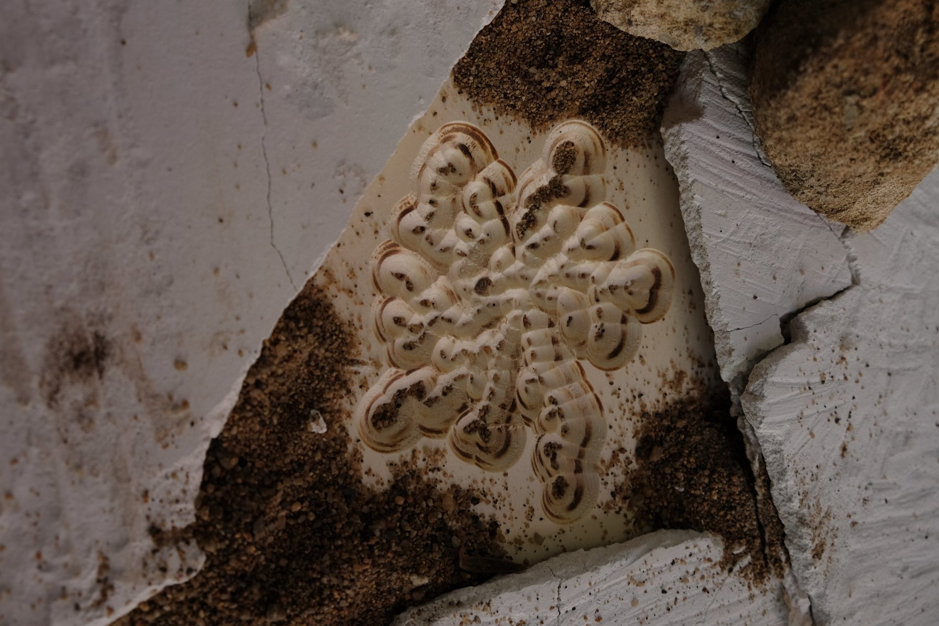 black and white bed linen