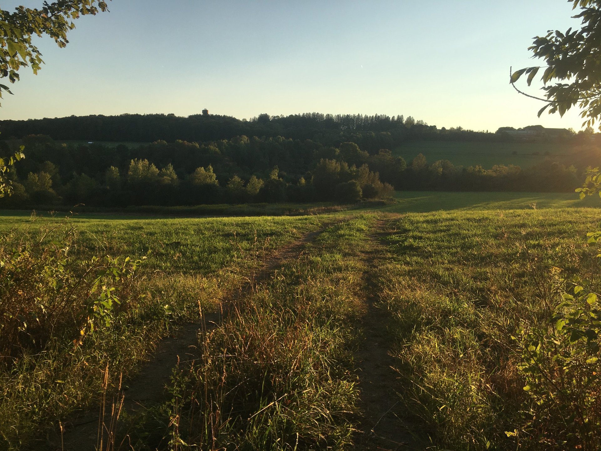 a church in the middle of a field with a mountain in the background