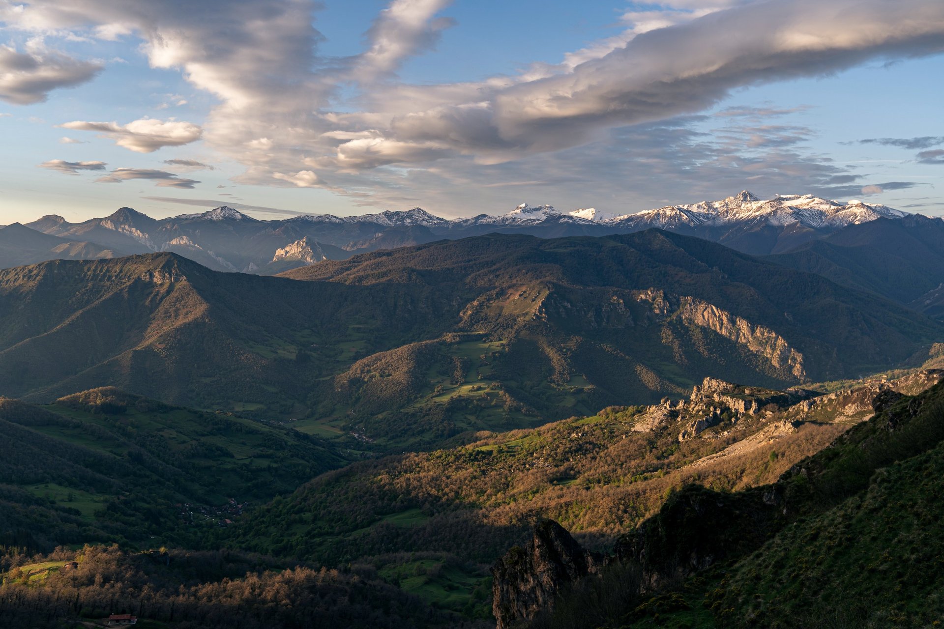 yellow sunflower field during daytime