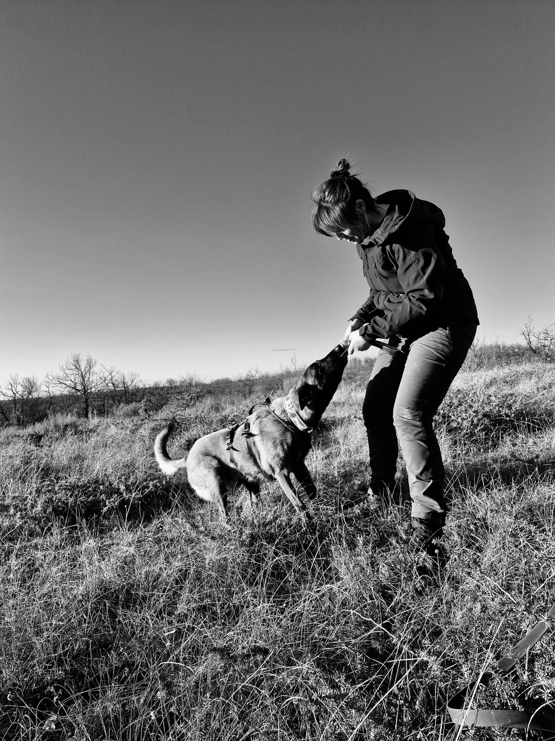 a close up of a dog laying on a bed