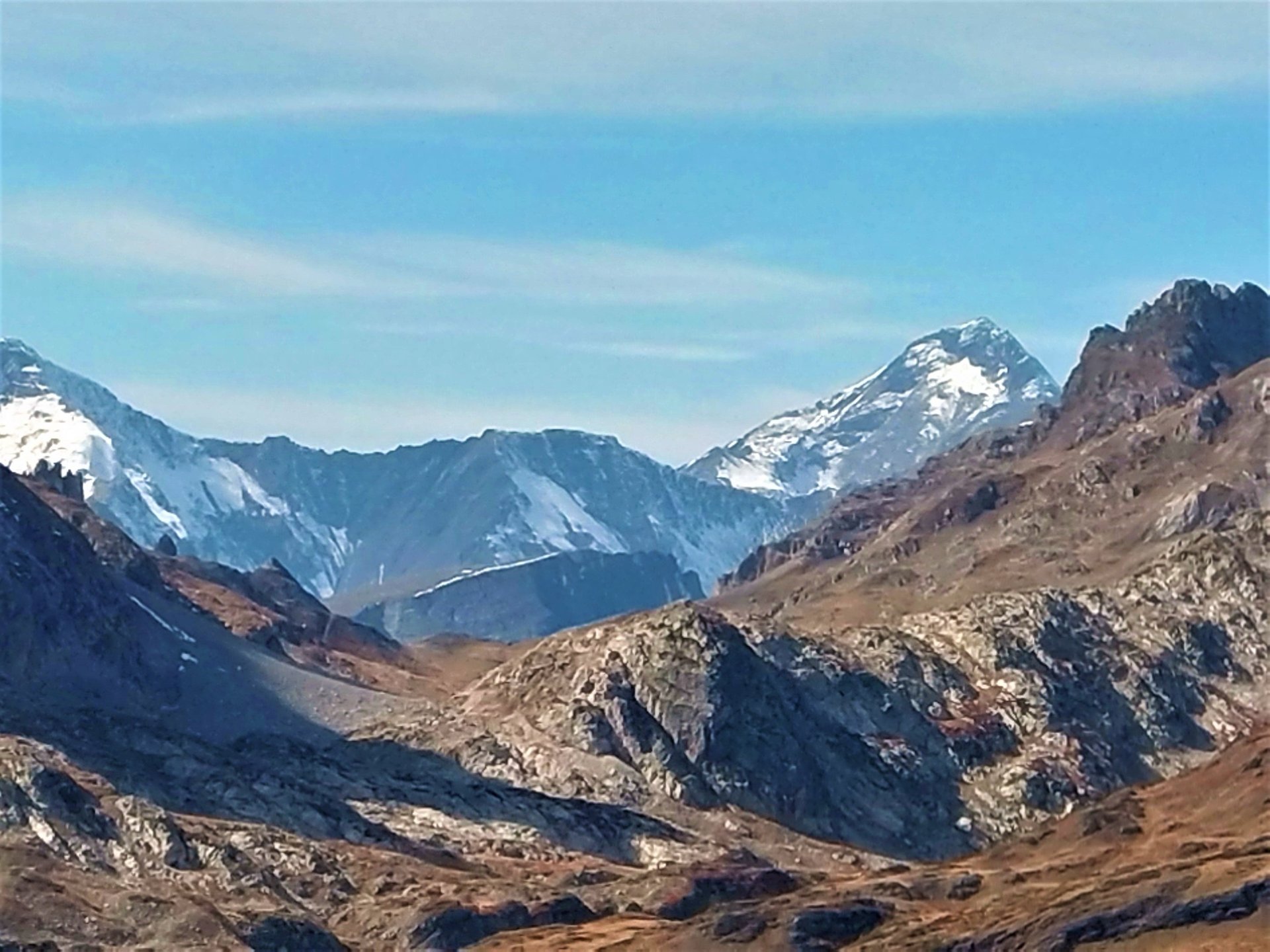 black blue and yellow textile