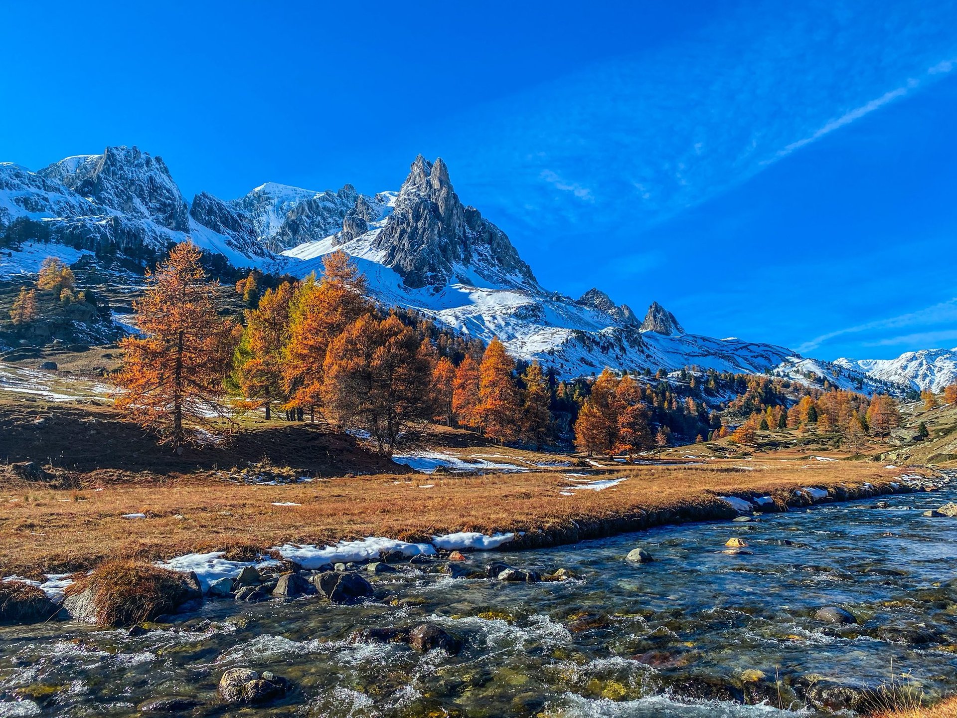 black blue and yellow textile