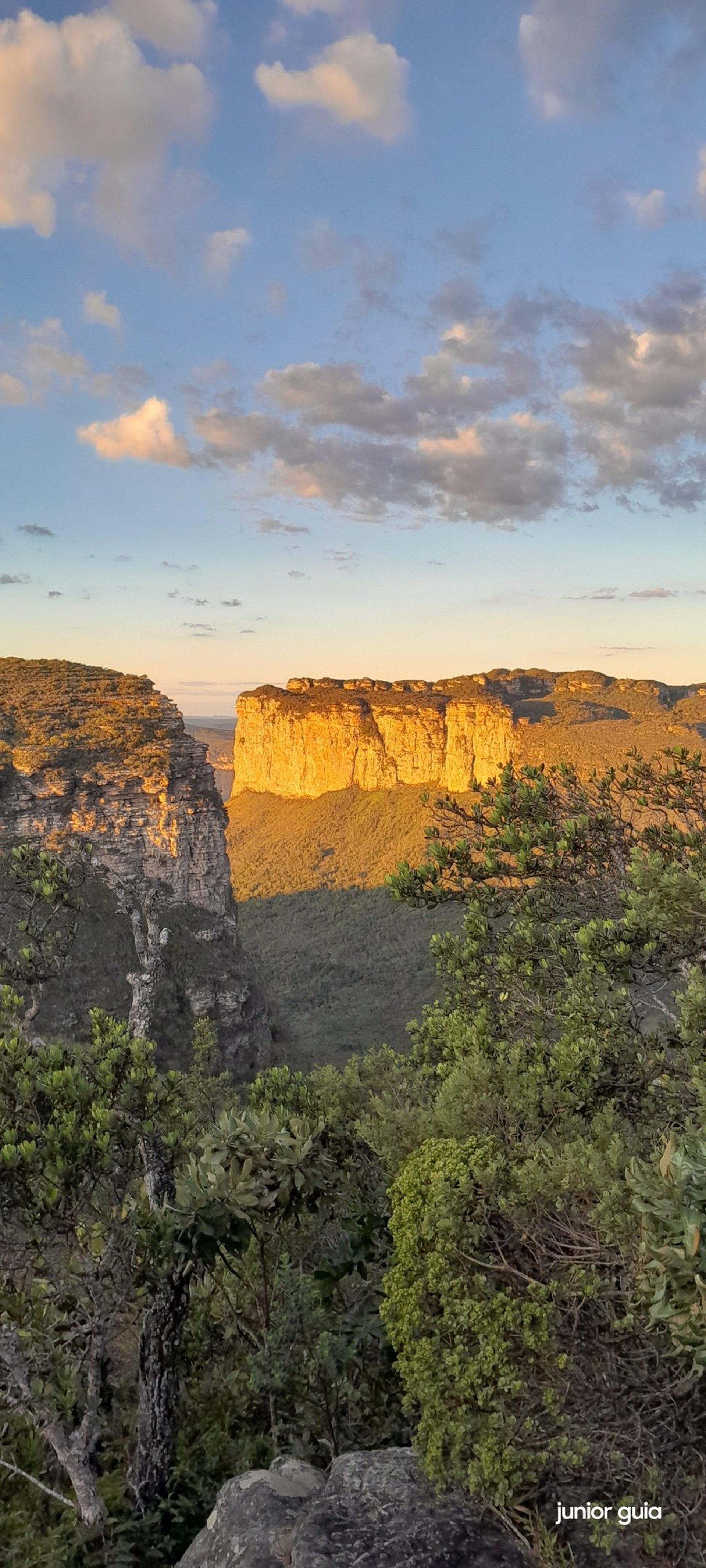 black and brown leather padded tub sofa