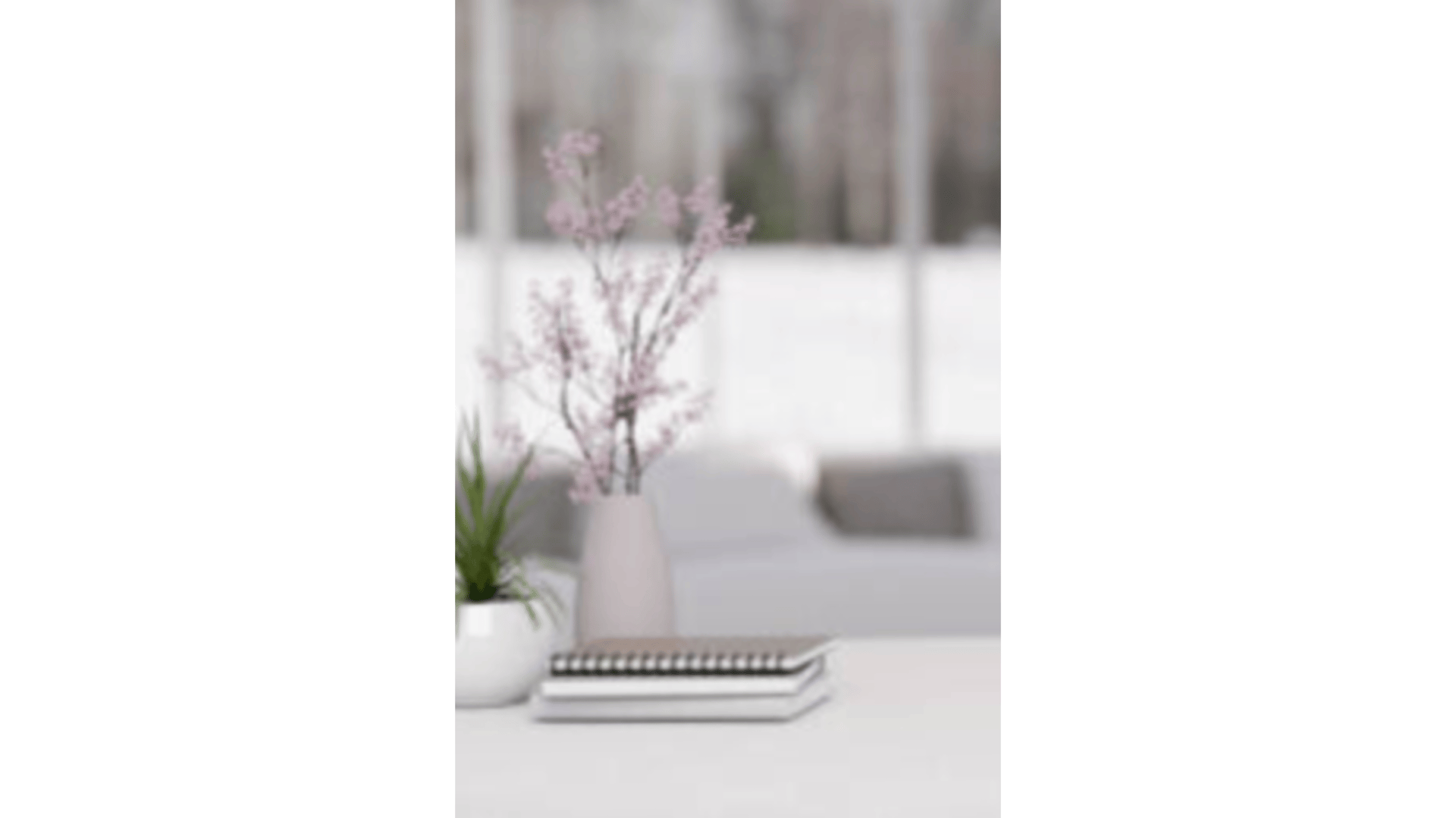 filed of books on top of desk