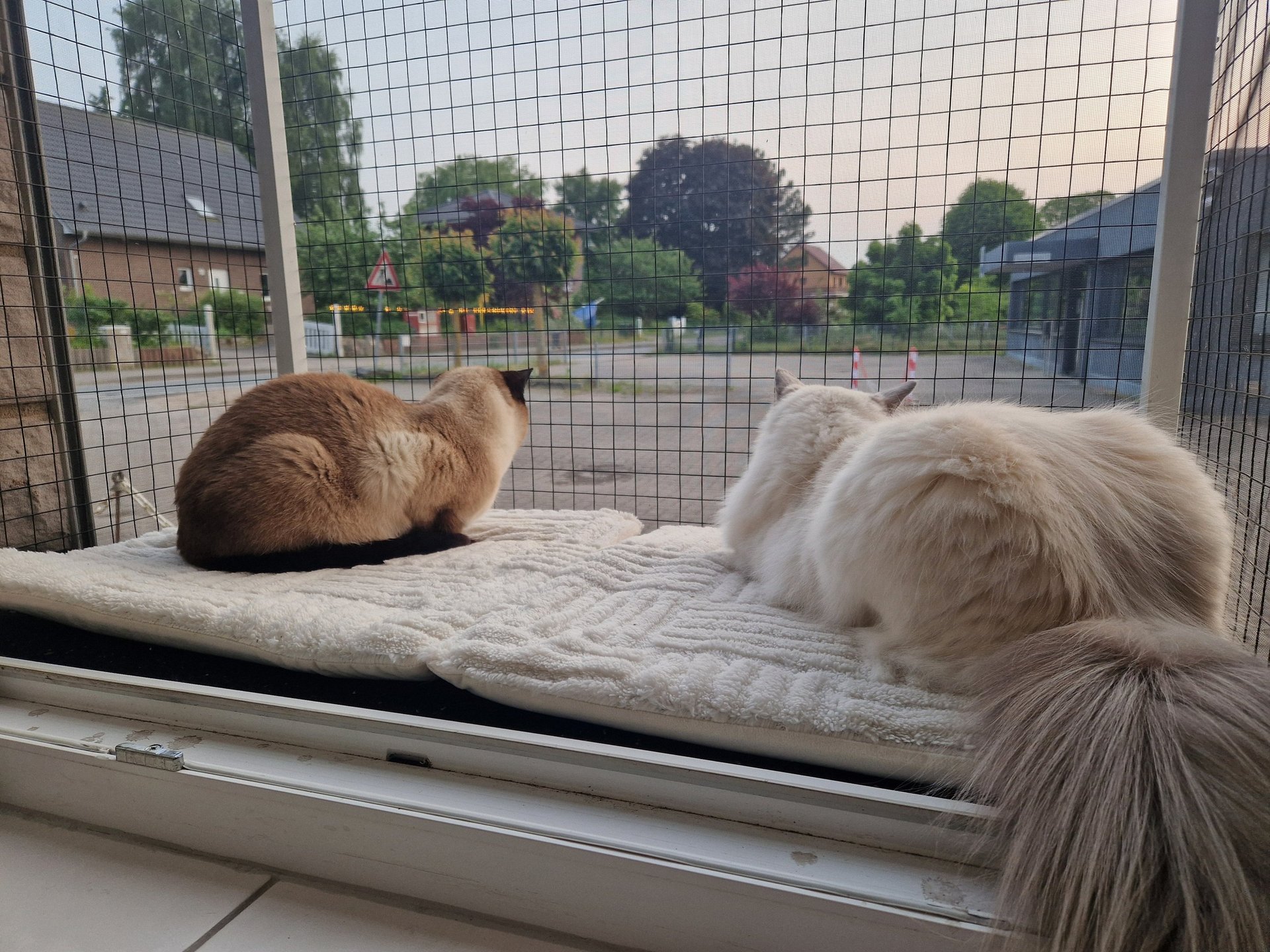 black and white bed linen