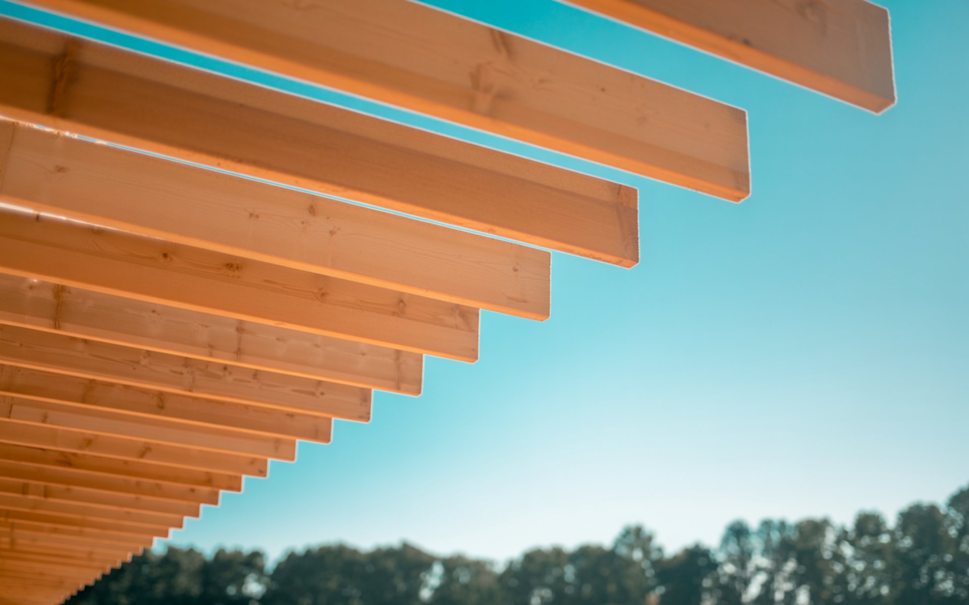 an abstract photo of a curved building with a blue sky in the background