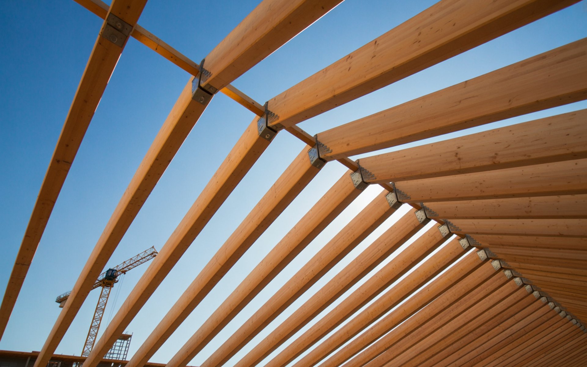 an abstract photo of a curved building with a blue sky in the background