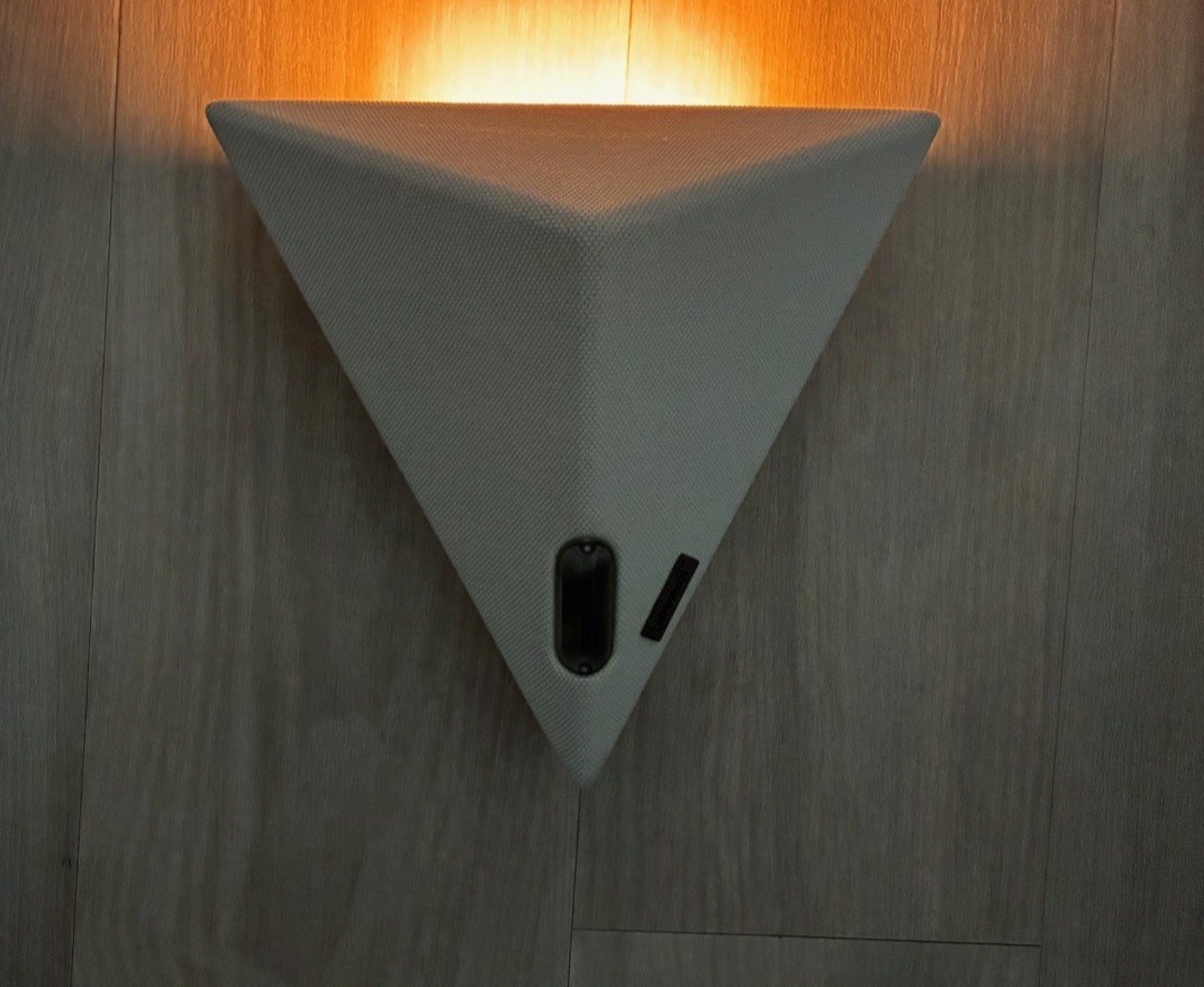 woman holding dried flower