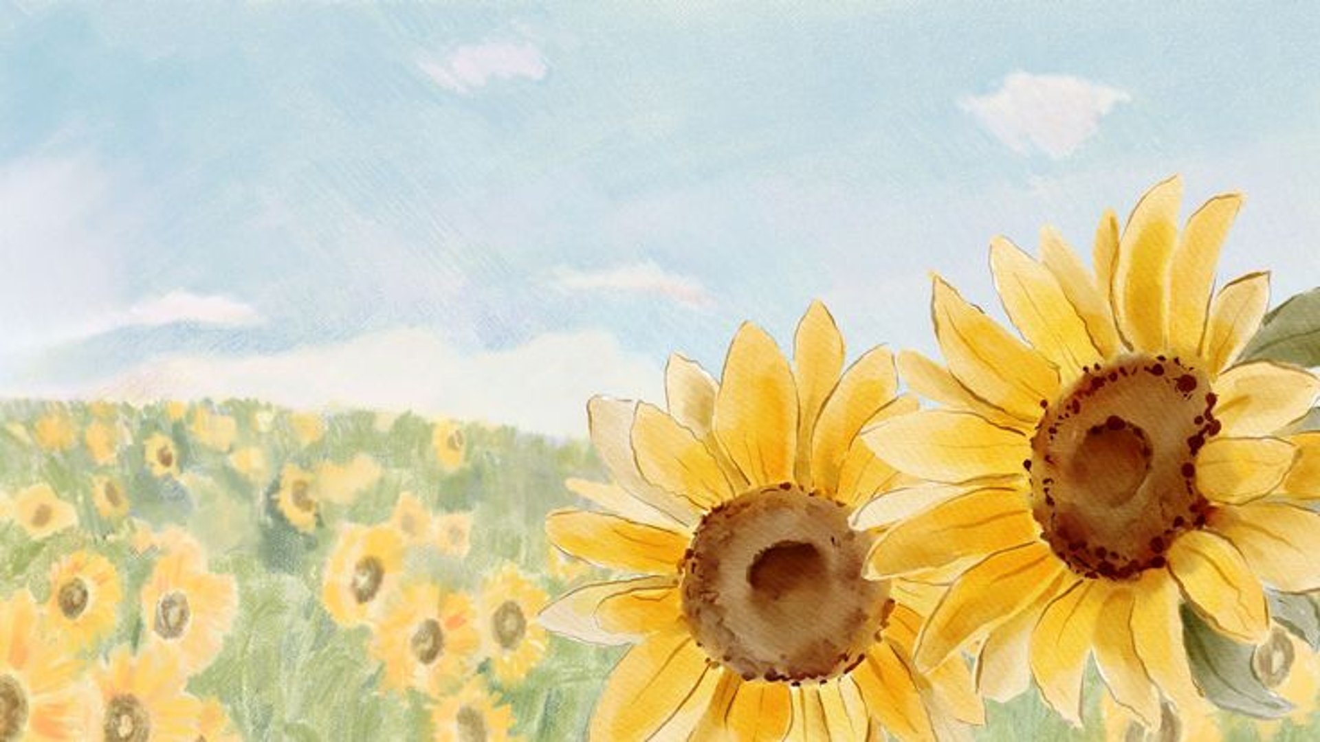 yellow sunflower field during daytime