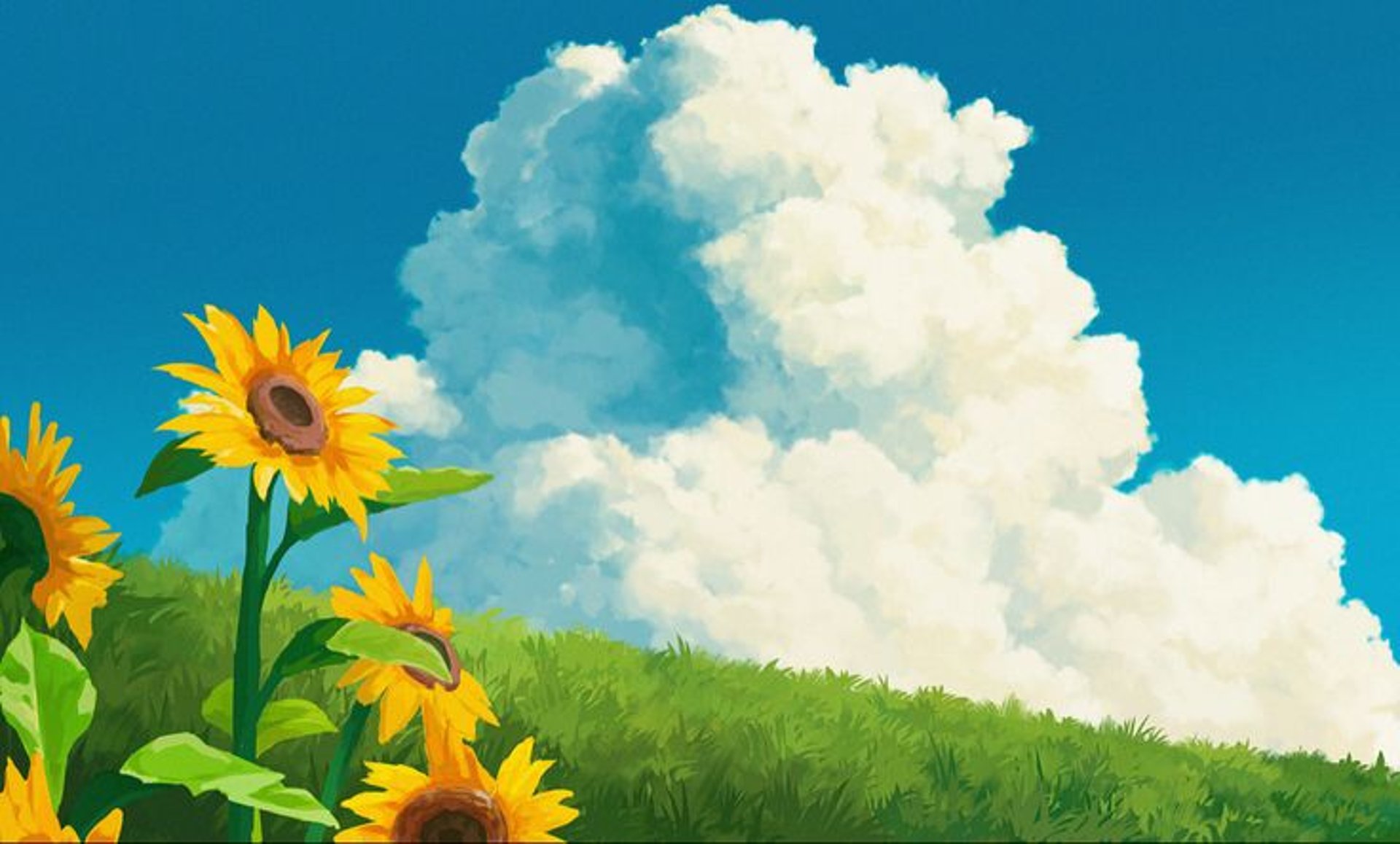 yellow sunflower field during daytime
